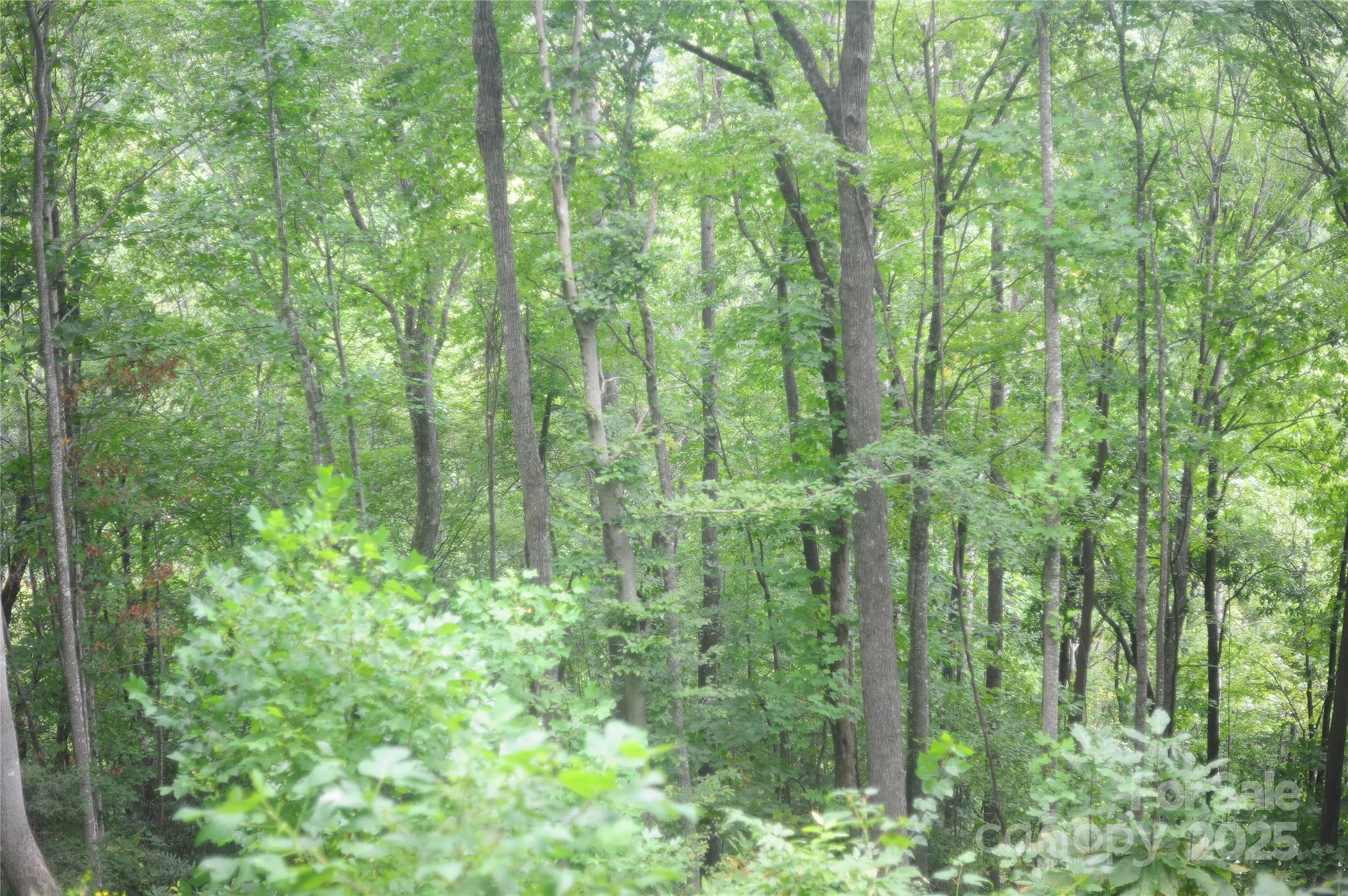 9 Wood Haven Lane 108 Property Photo 3