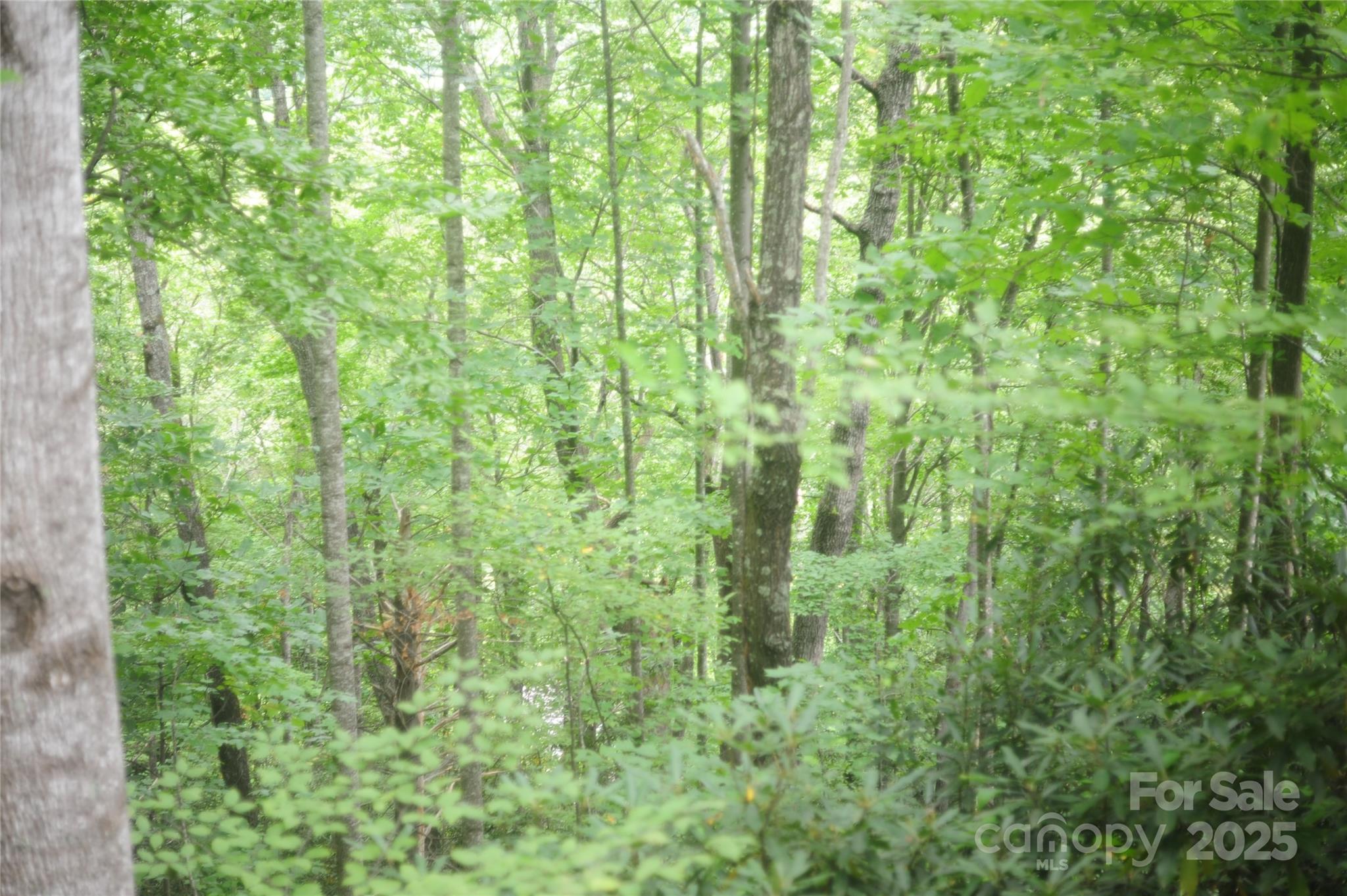 9 Wood Haven Lane 108 Property Photo 8