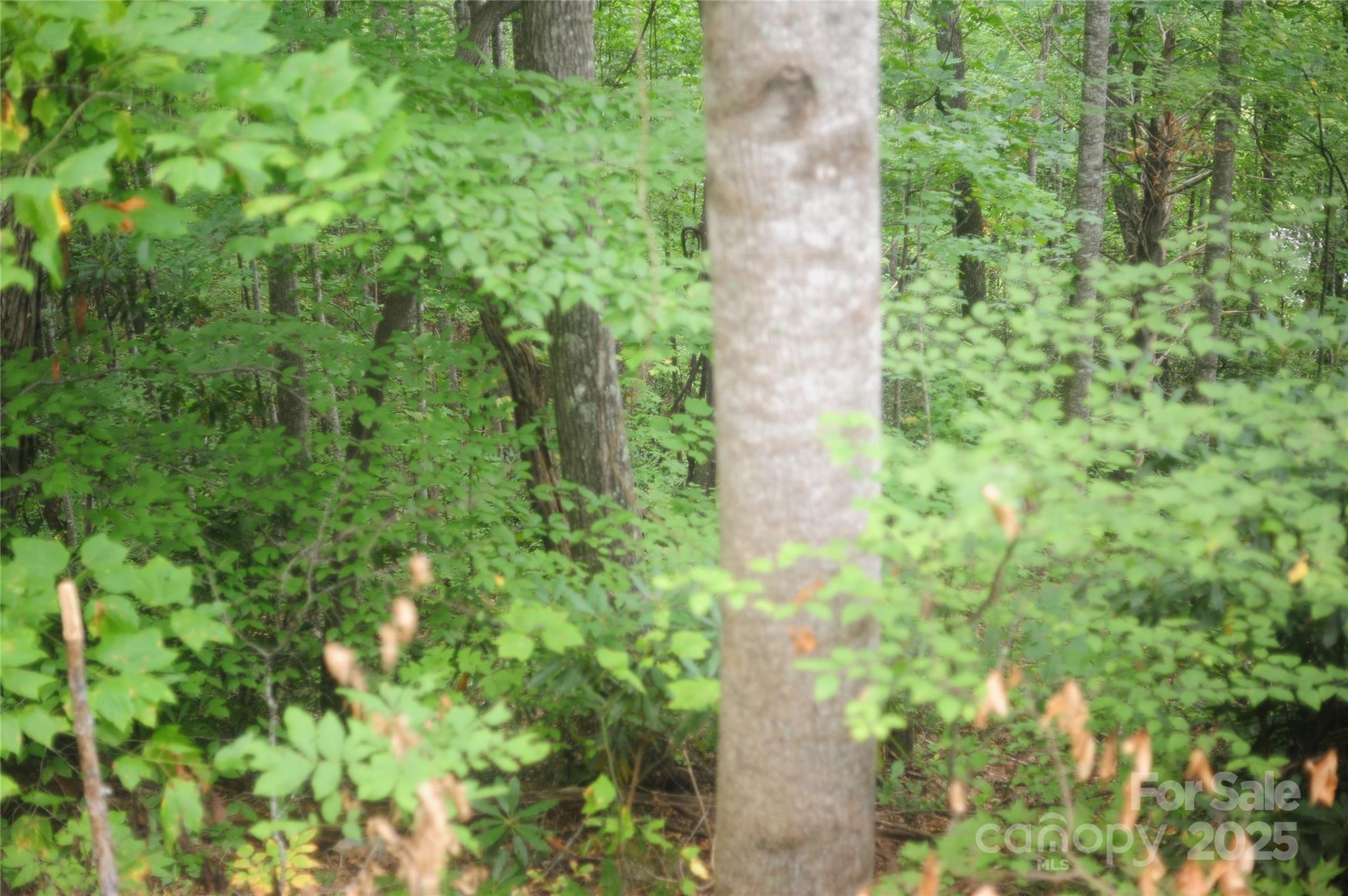 9 Wood Haven Lane 108 Property Photo 9