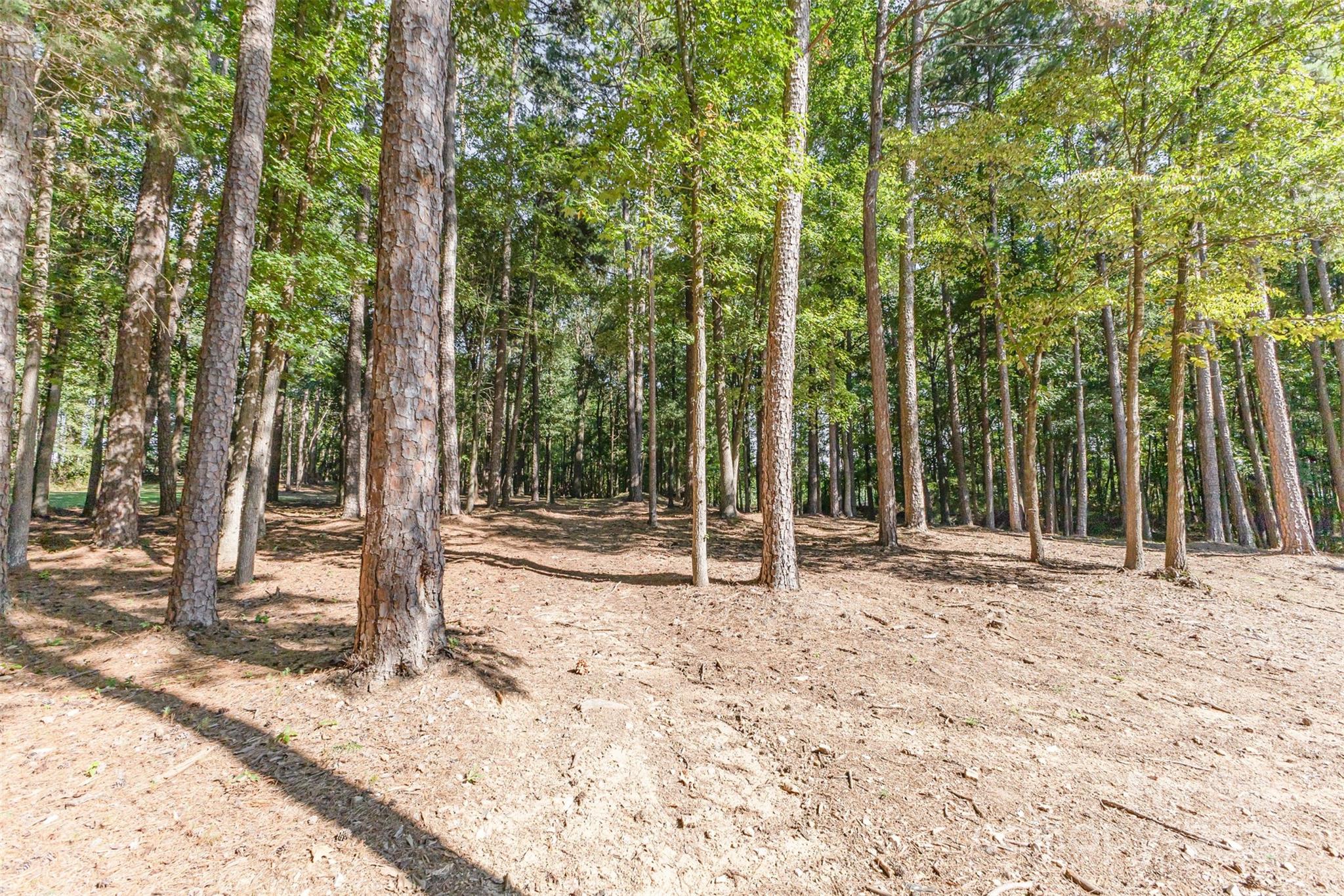 15655 Highway 601 Highway Property Photo 47