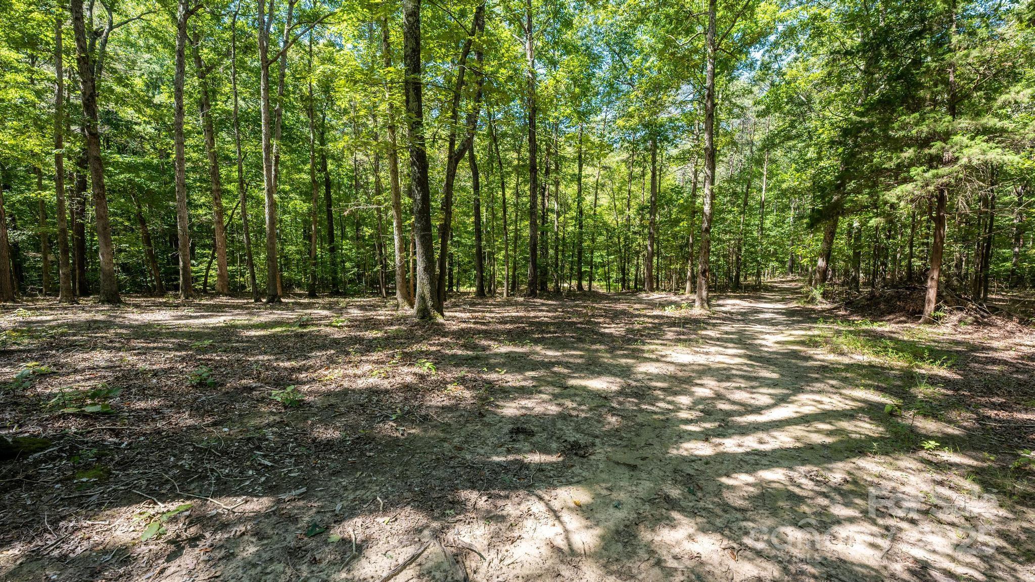 160 Clairmont Road Property Photo 41