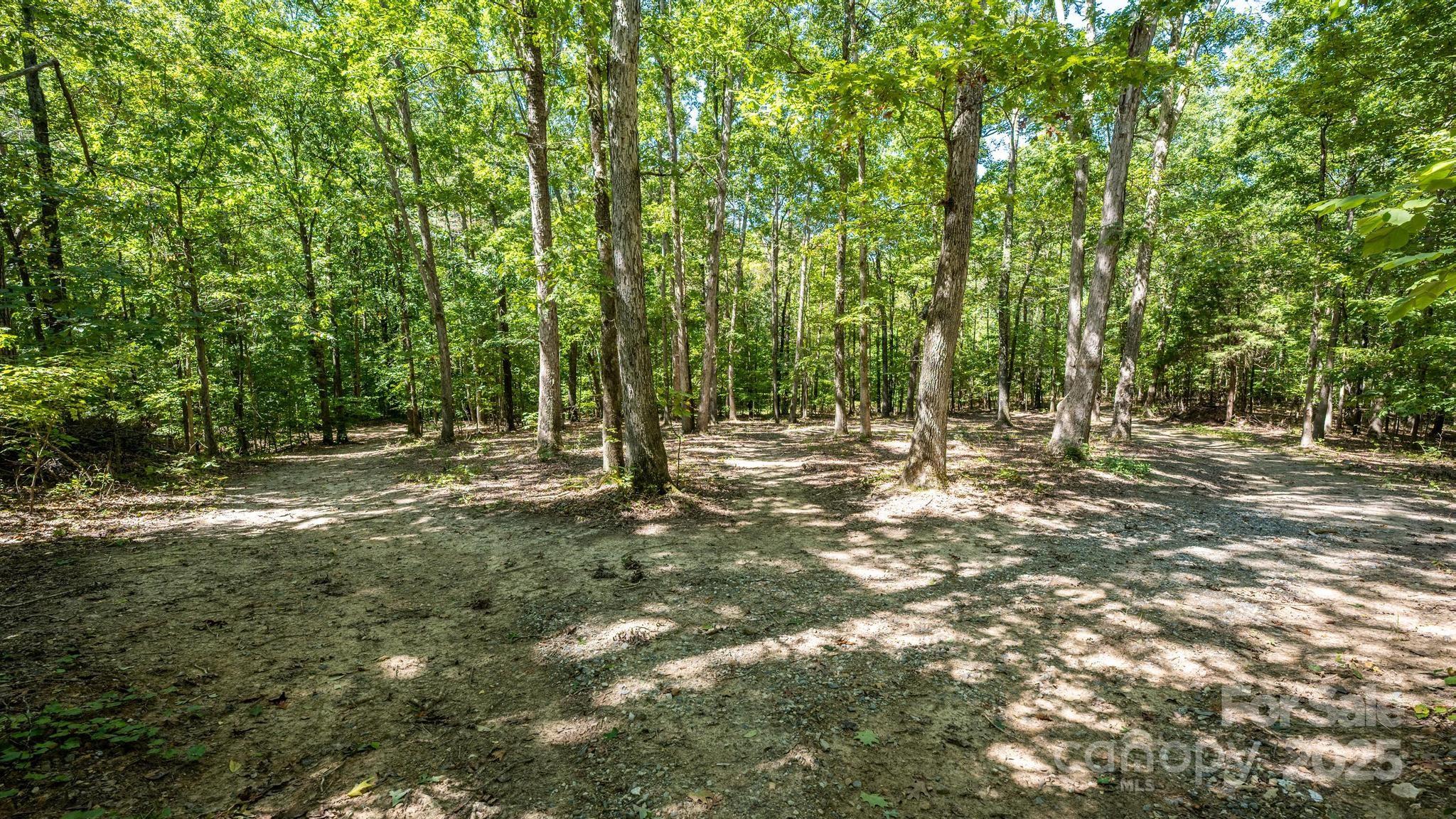 160 Clairmont Road Property Photo 42