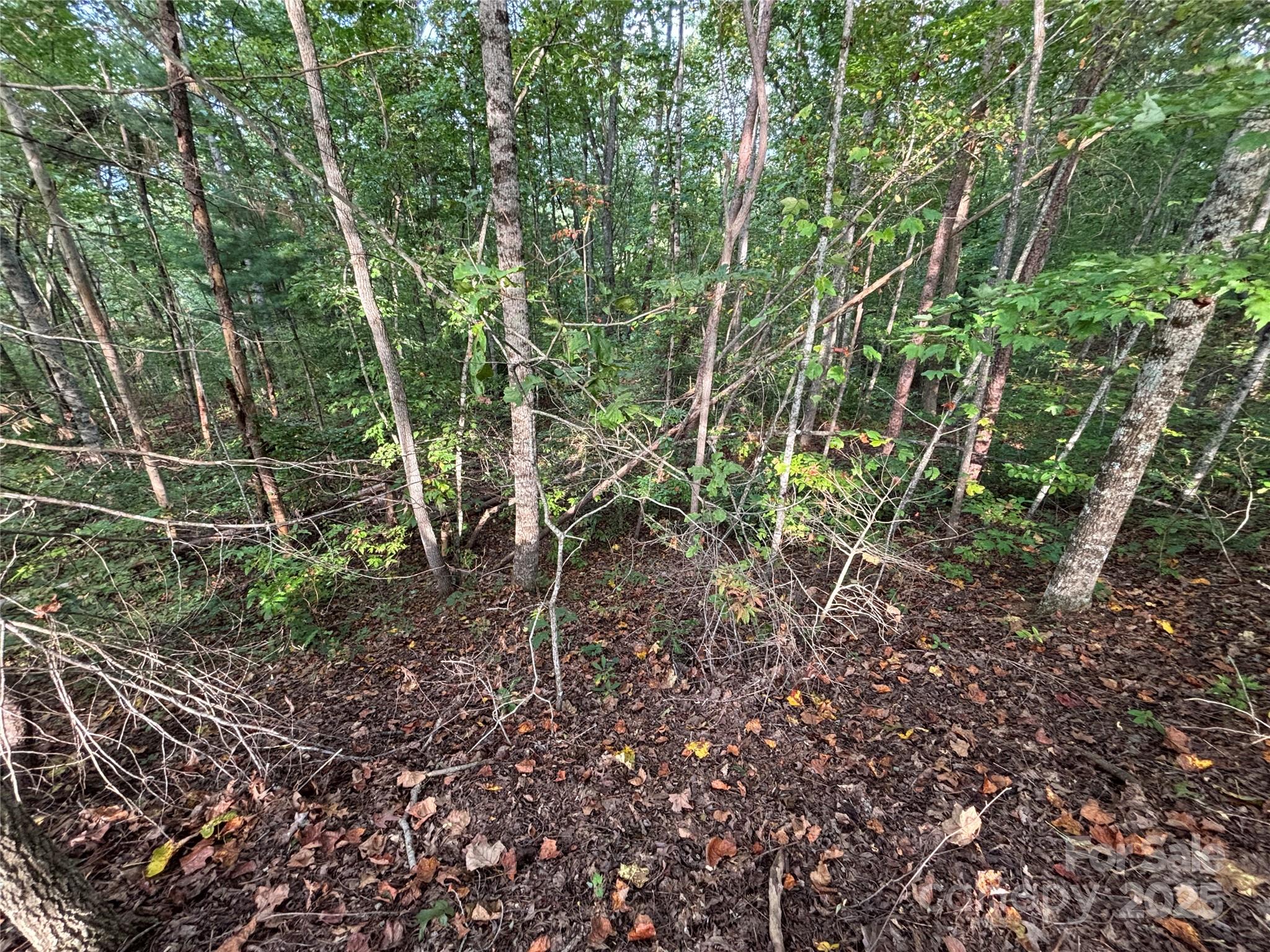 Lot 8 Madison Lane Property Photo 7