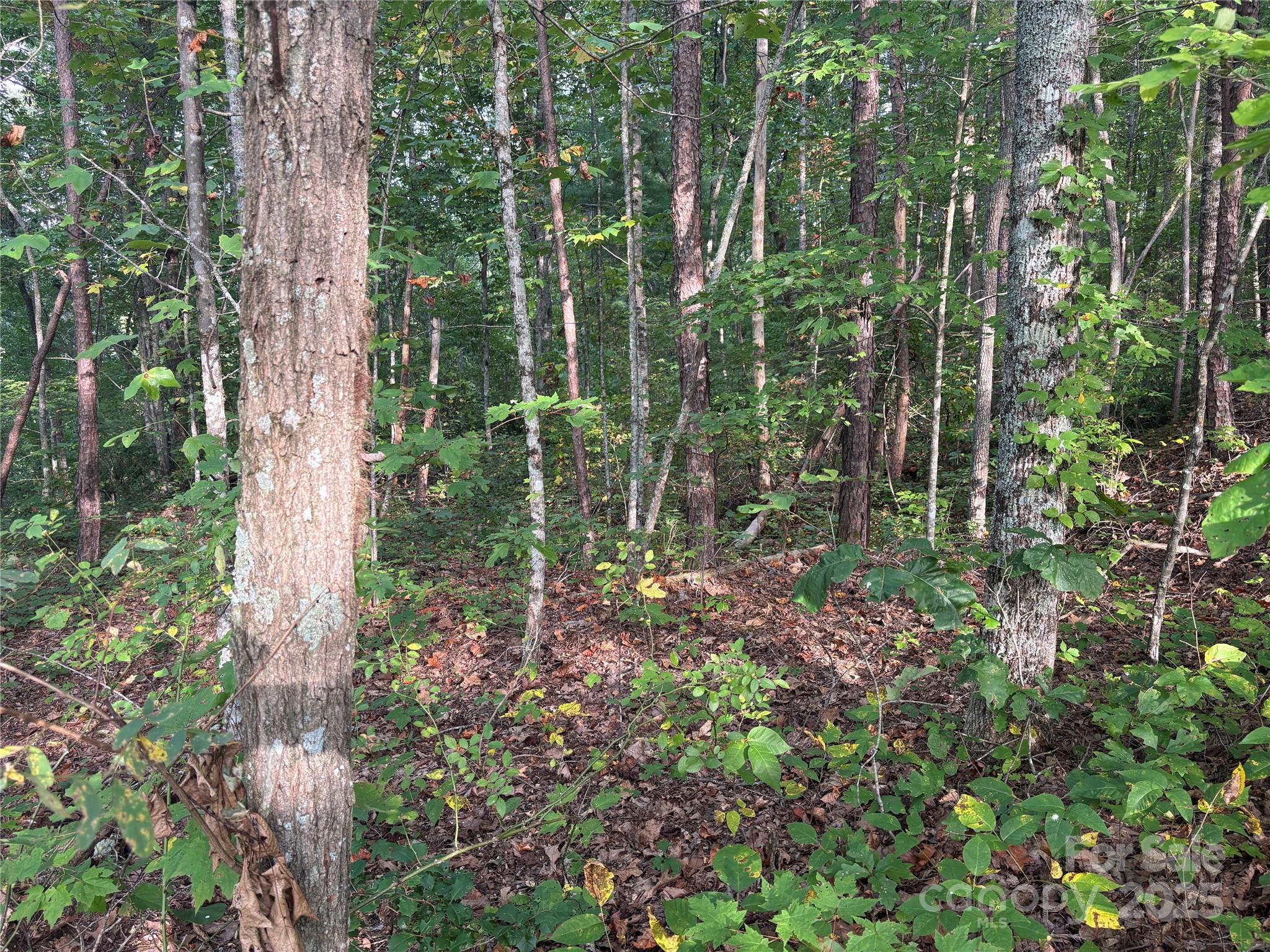 Lot 8 Madison Lane Property Photo 8