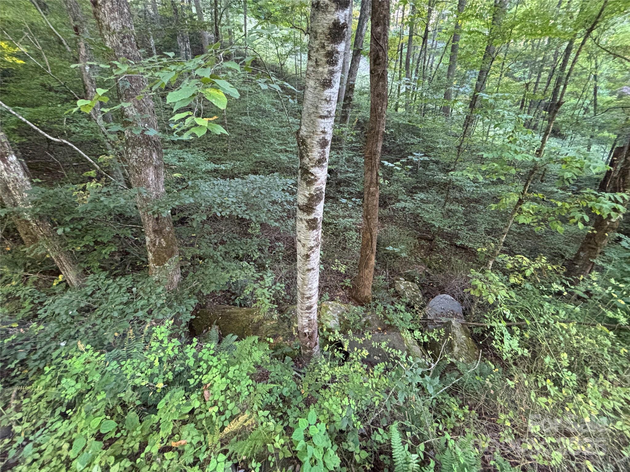 Lot 8 Madison Lane Property Photo 14