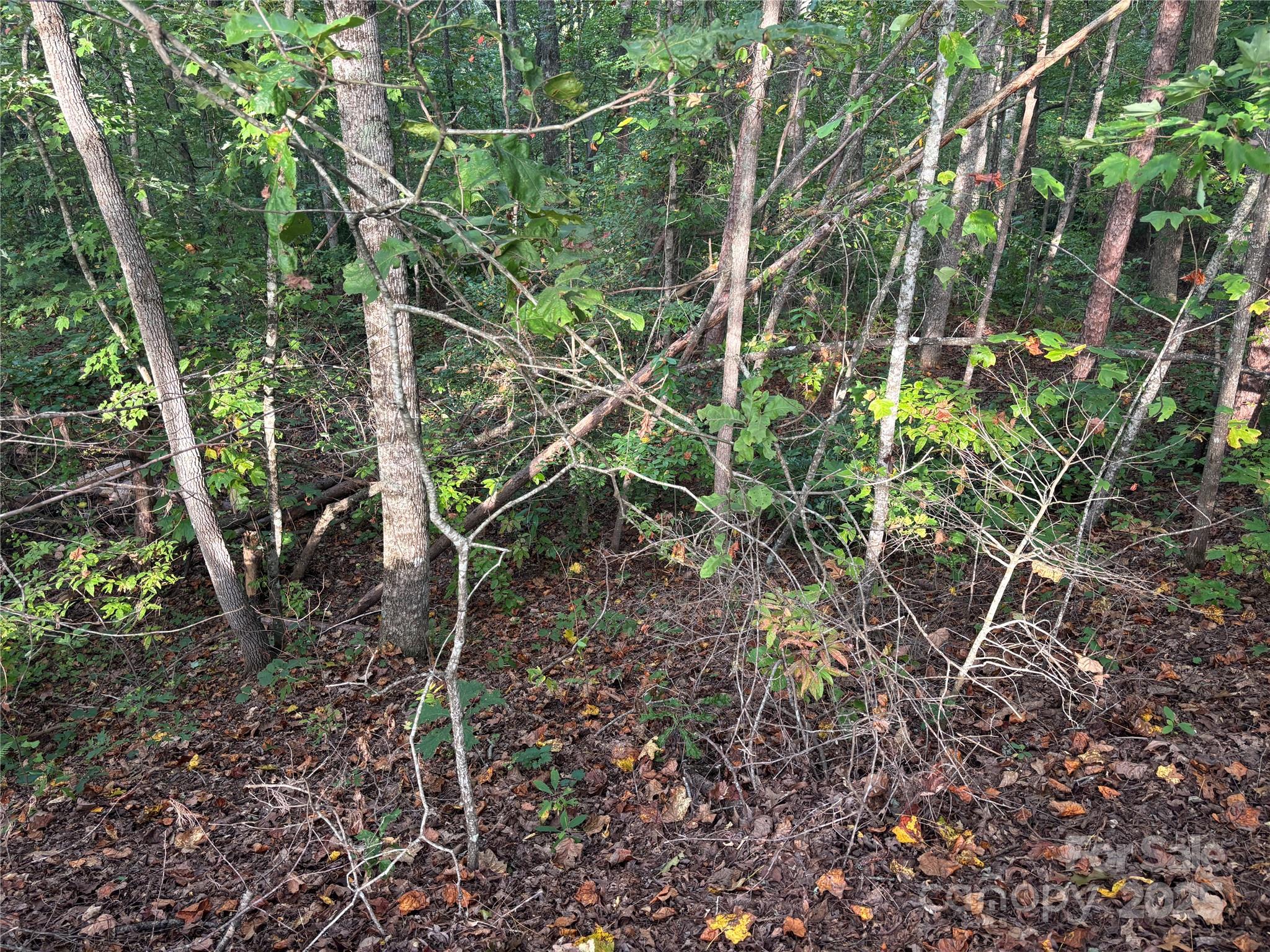 Lot 8 Madison Lane Property Photo 15