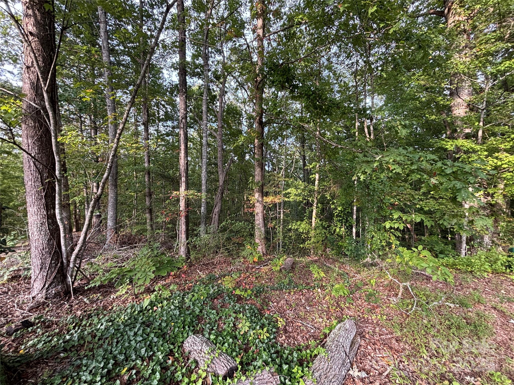 Lot 8 Madison Lane Property Photo 16