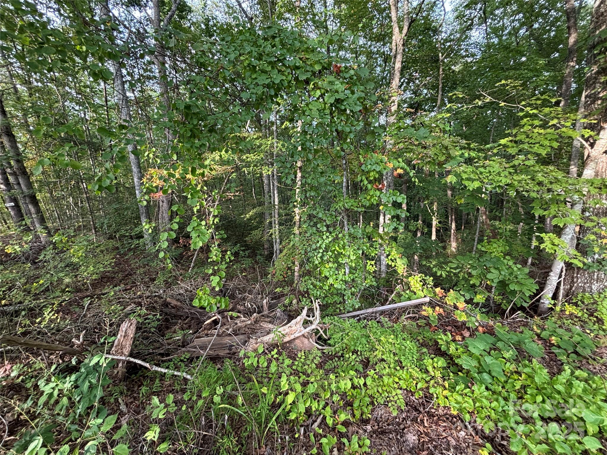 Lot 8 Madison Lane Property Photo 17