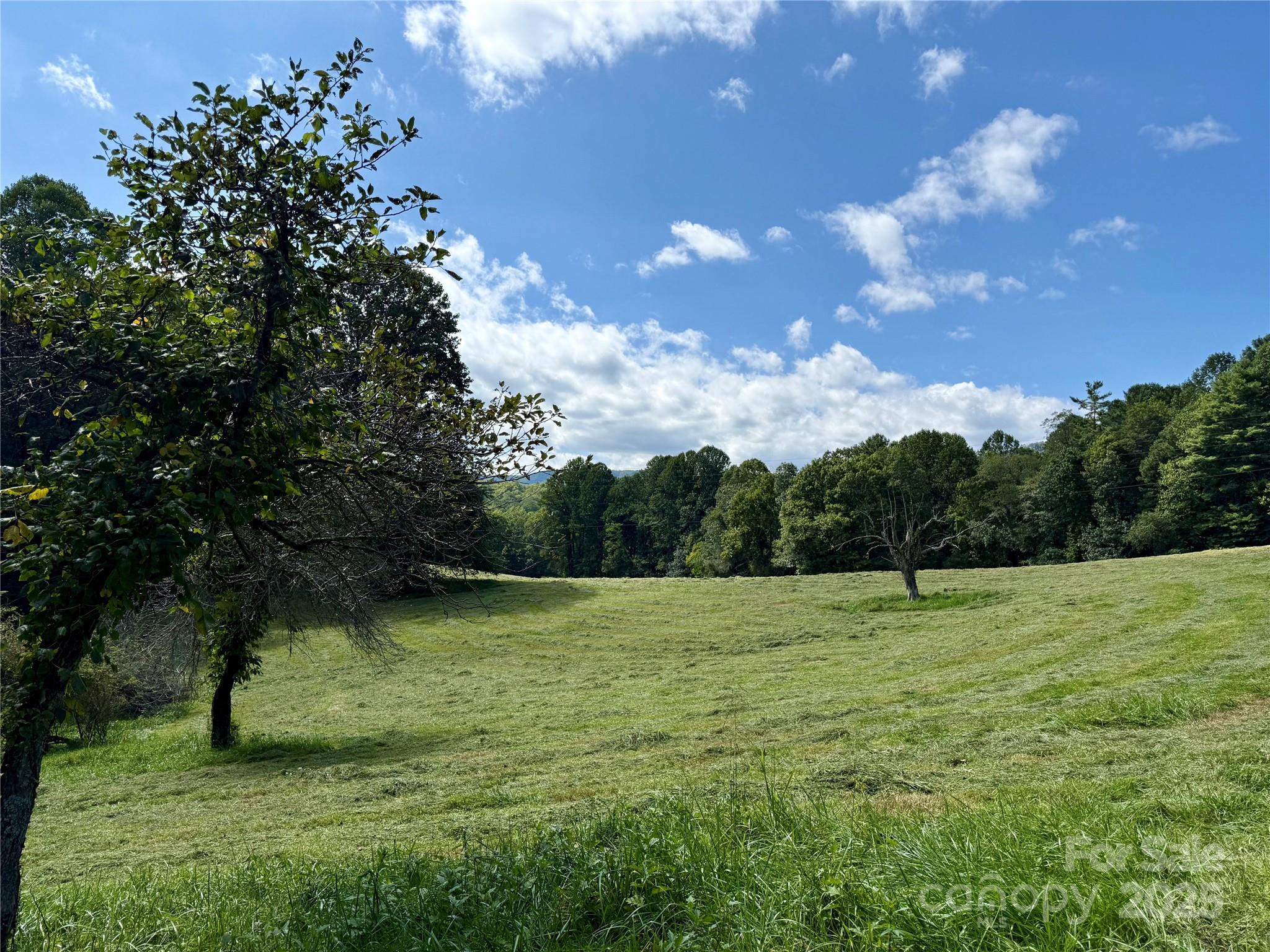 Tbd Slick Fisher Road Property Photo 8