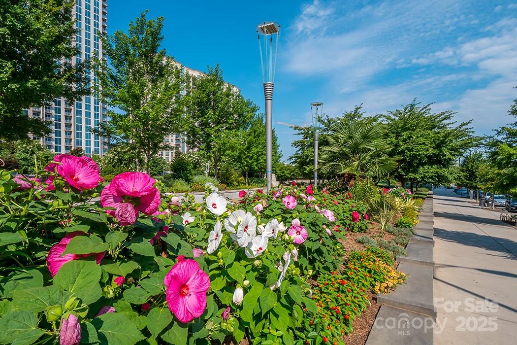 525 E Sixth Street 407 Property Photo 27