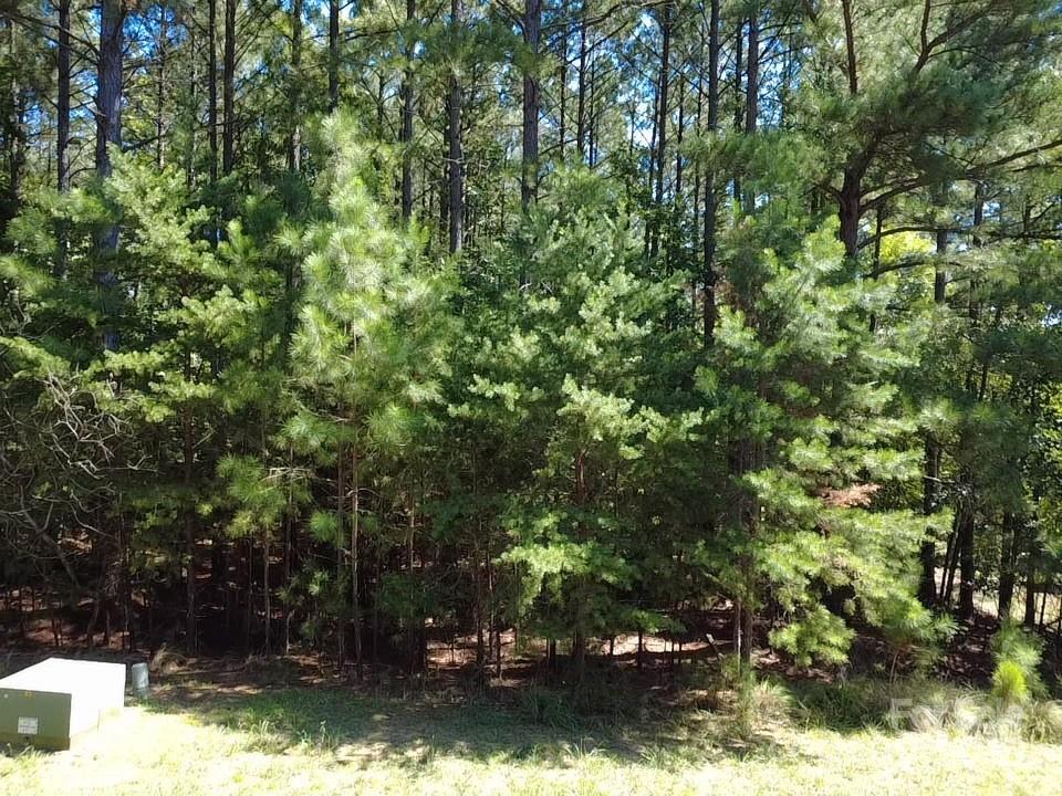 3124 Ashwood Park Drive Property Photo 9