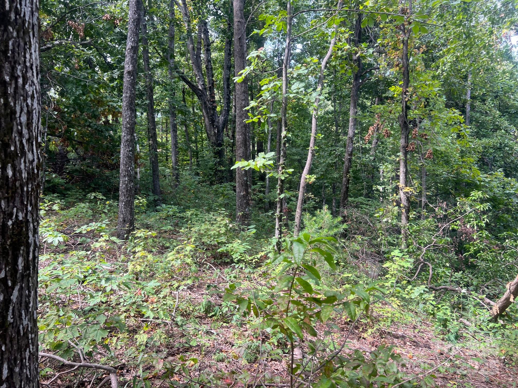 6792 Silver Creek Lane Property Photo 2