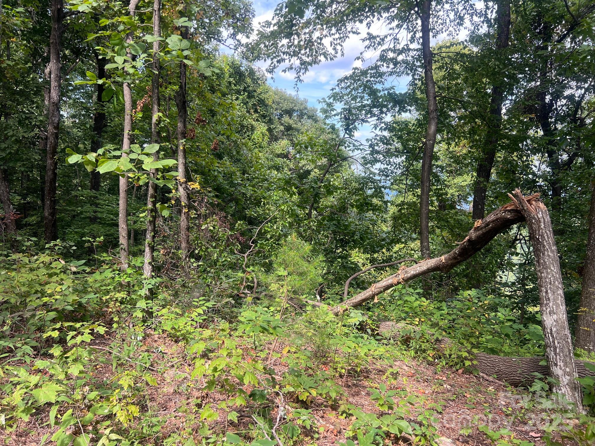 6792 Silver Creek Lane Property Photo 3