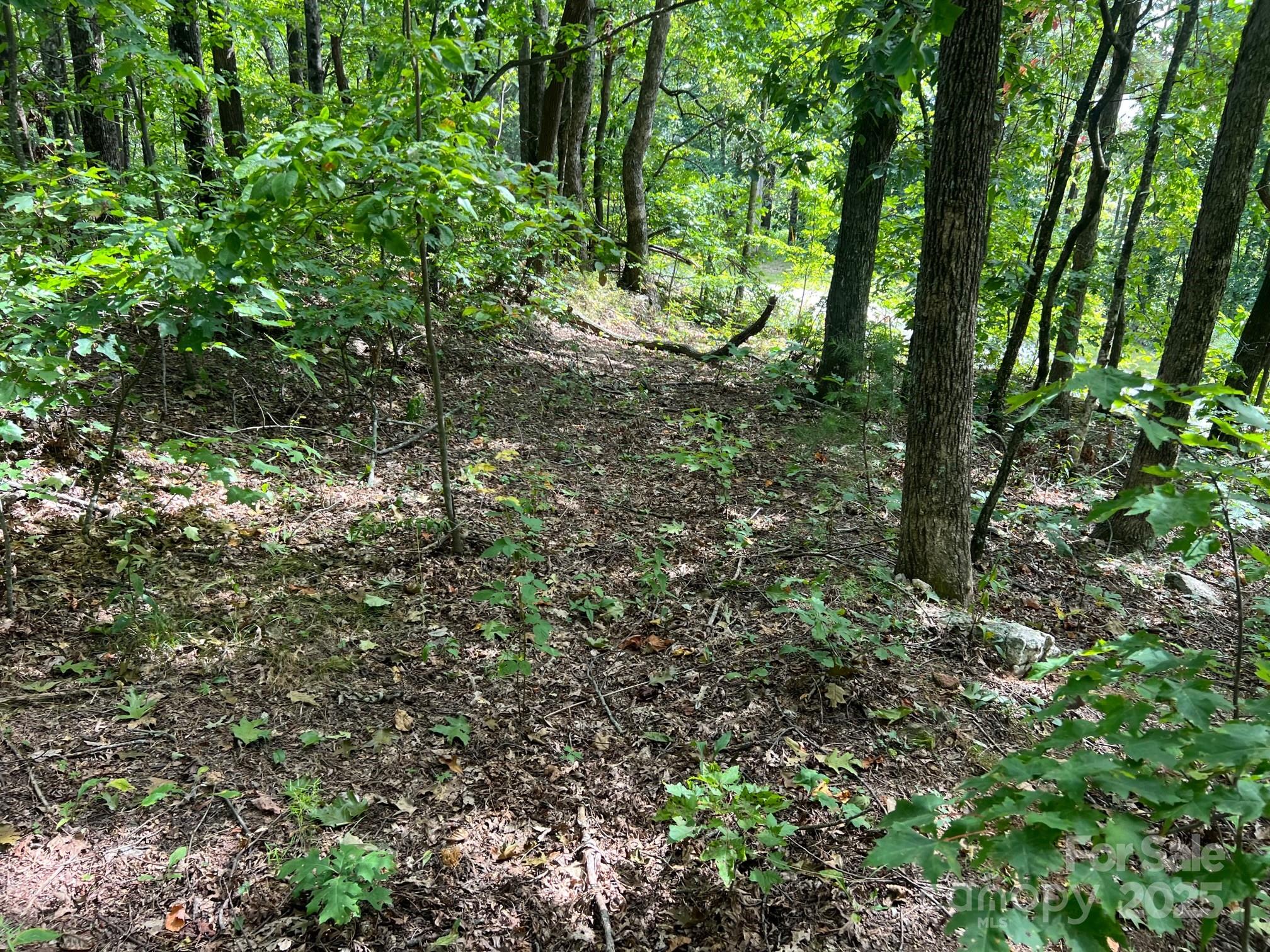 6792 Silver Creek Lane Property Photo 4