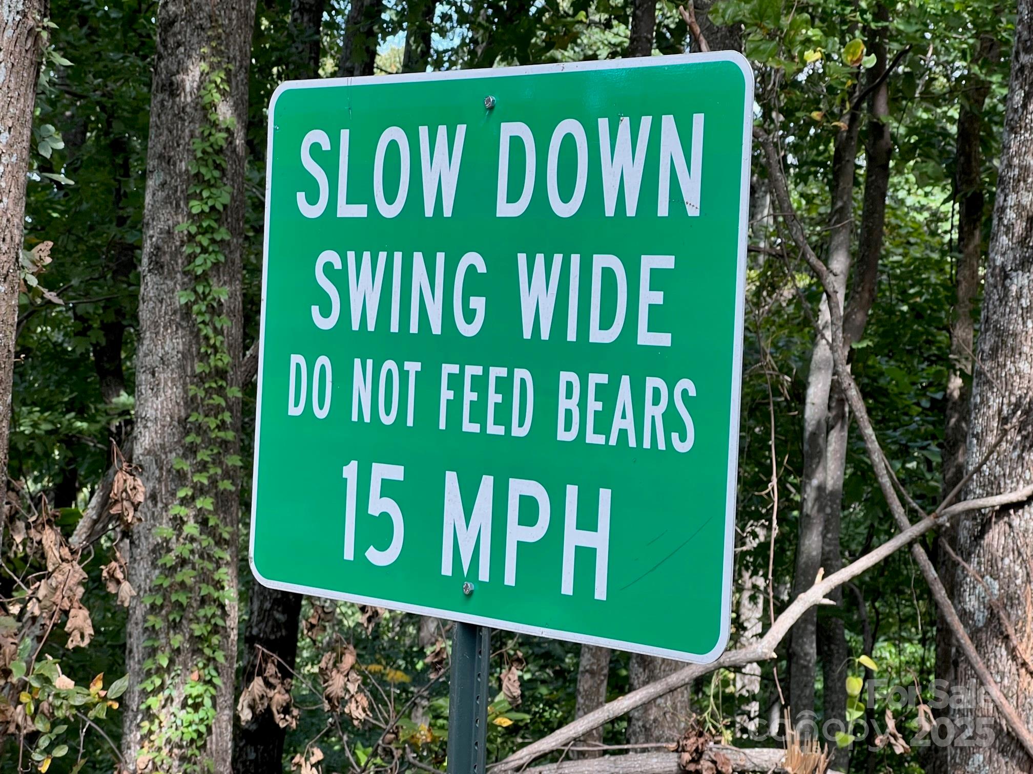 6792 Silver Creek Lane Property Photo 11