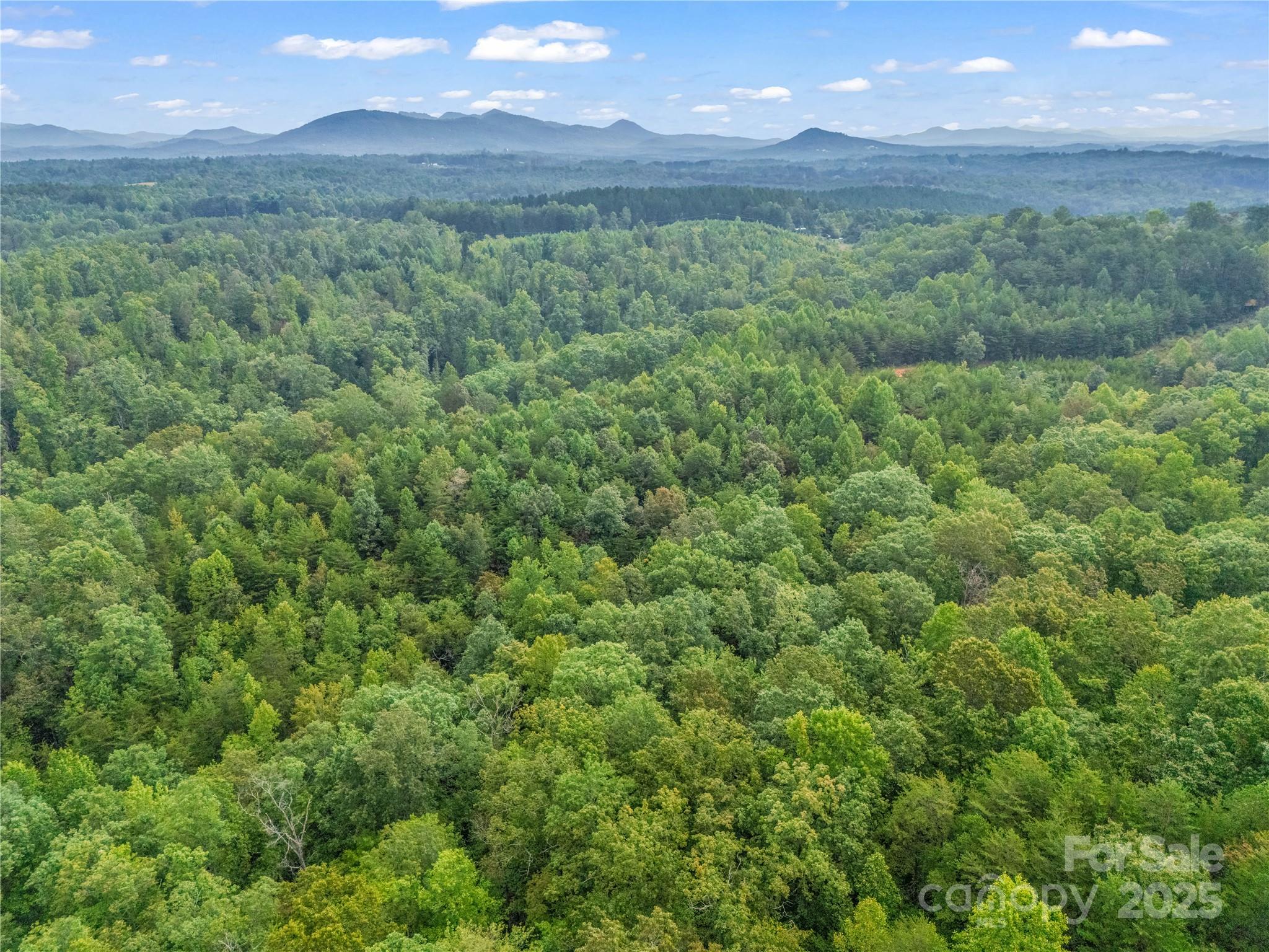 625 Rainbow Rapids Road Property Photo 27