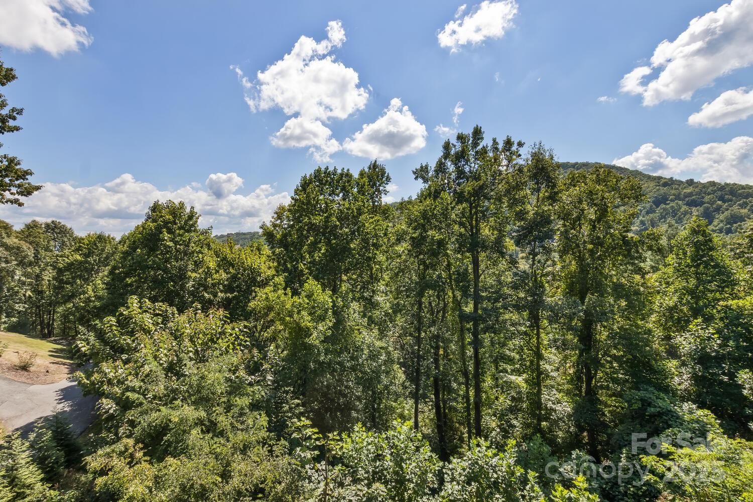 10 Scott Mountain Drive Property Photo 32