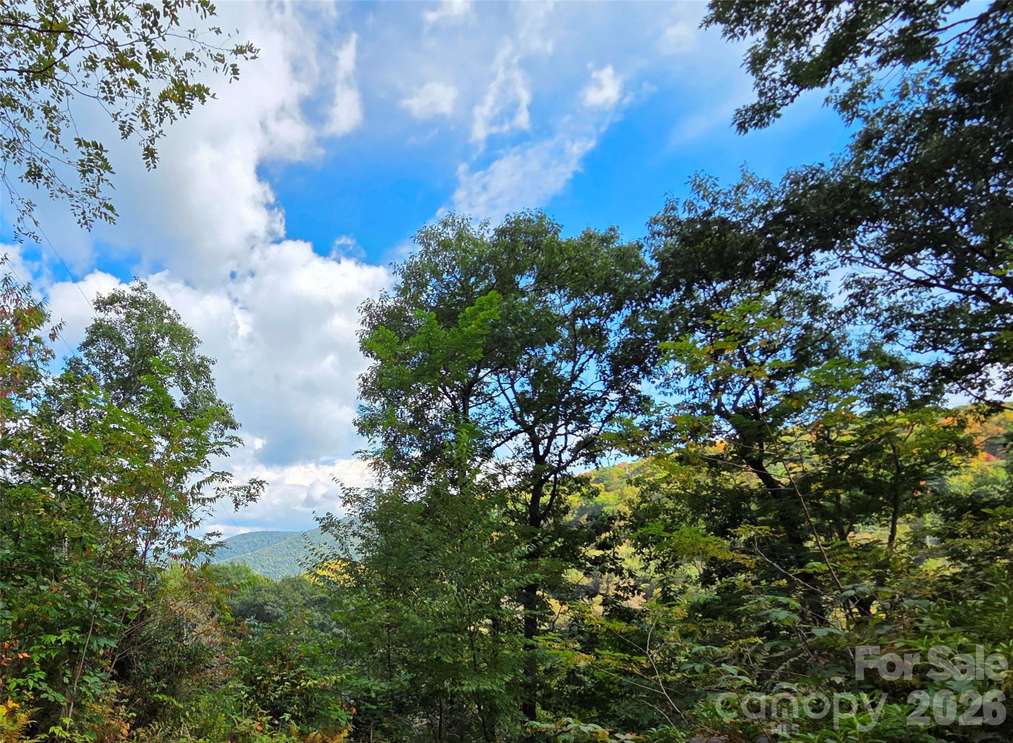 720 Autumn Drive Property Photo 2