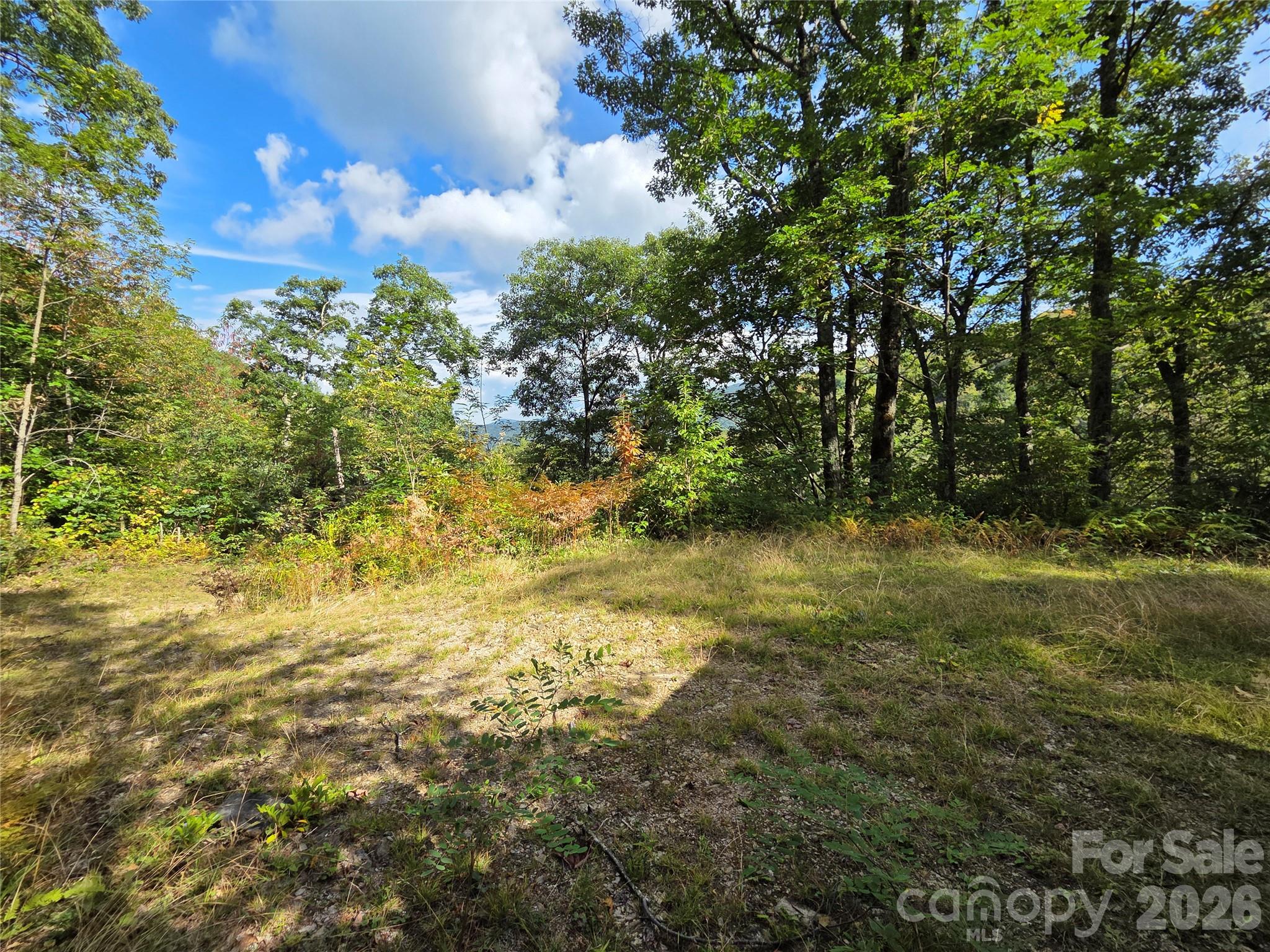 720 Autumn Drive Property Photo 6