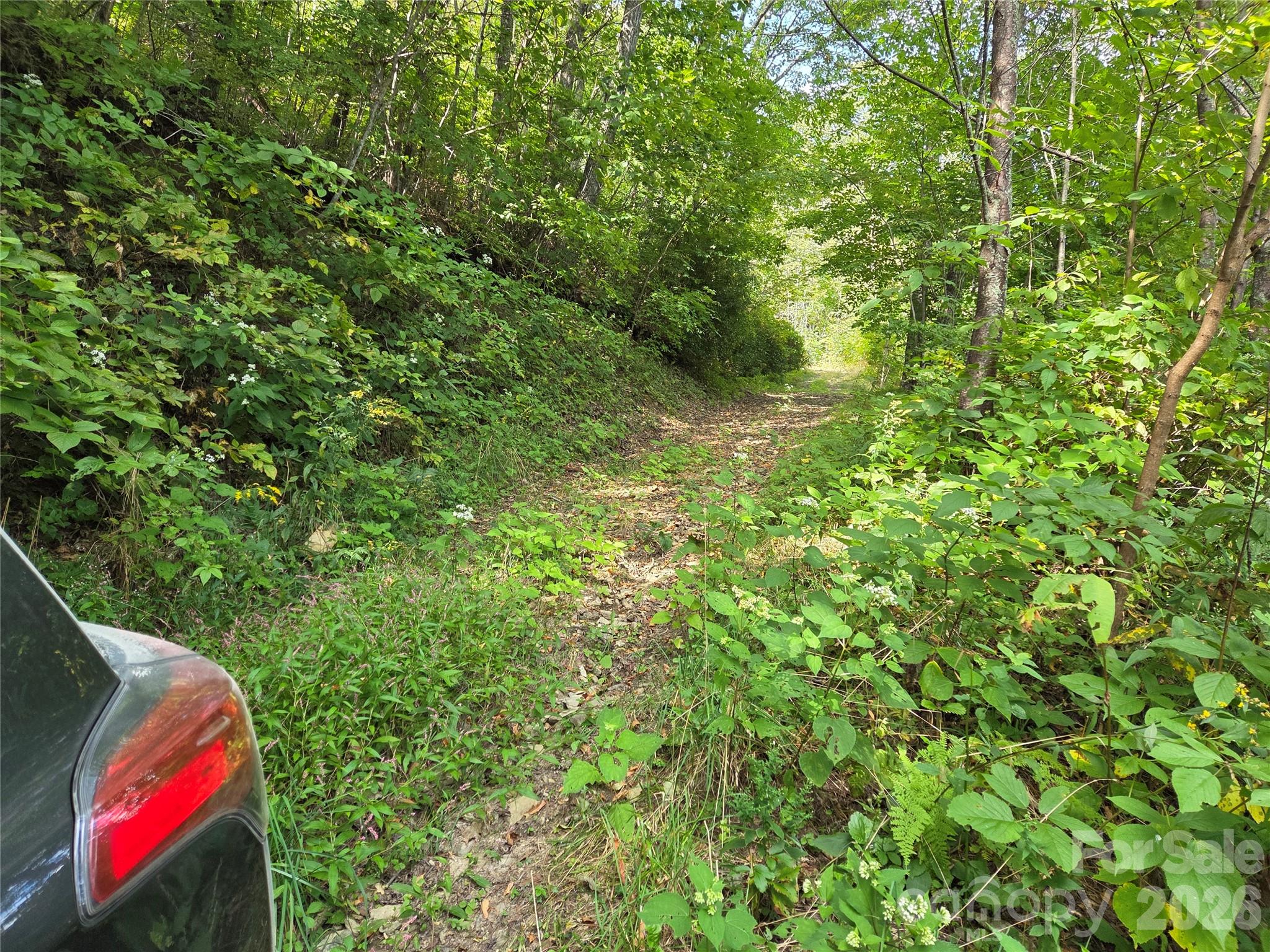 720 Autumn Drive Property Photo 12