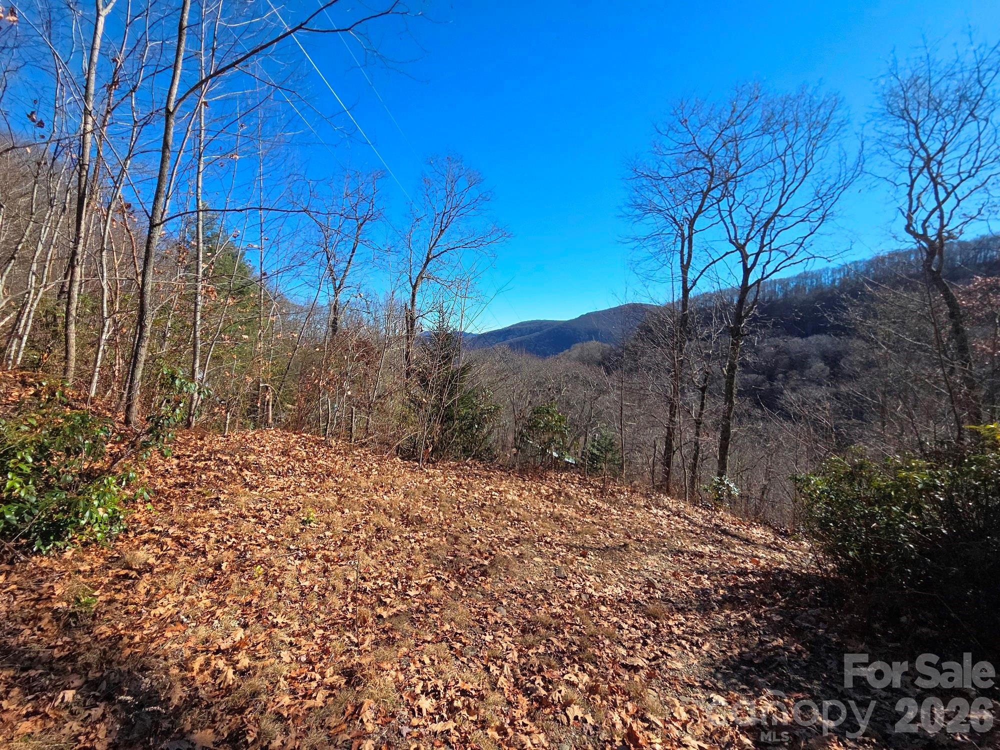 720 Autumn Drive Property Photo 13