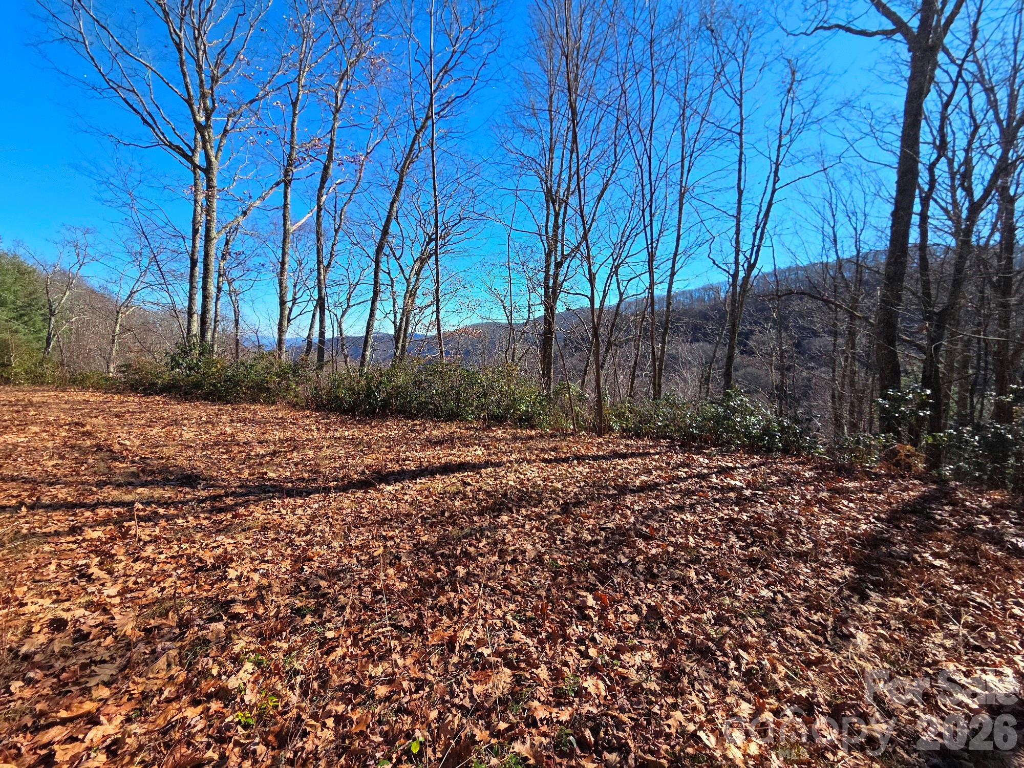 720 Autumn Drive Property Photo 18