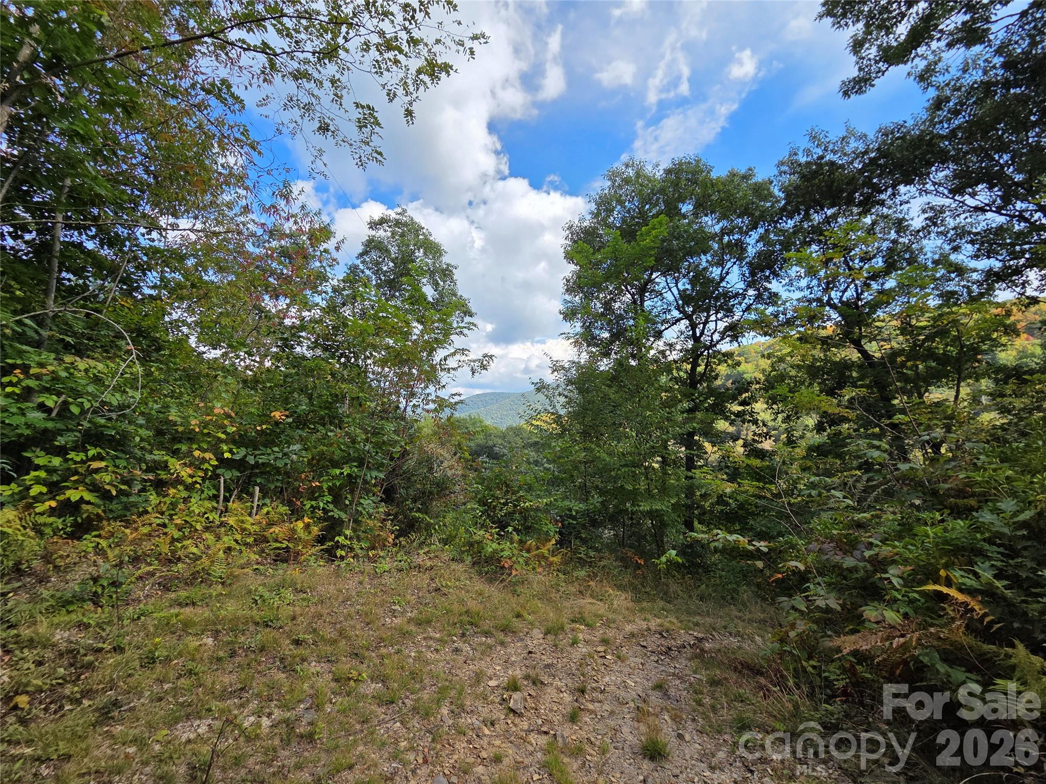 720 Autumn Drive Property Photo 19