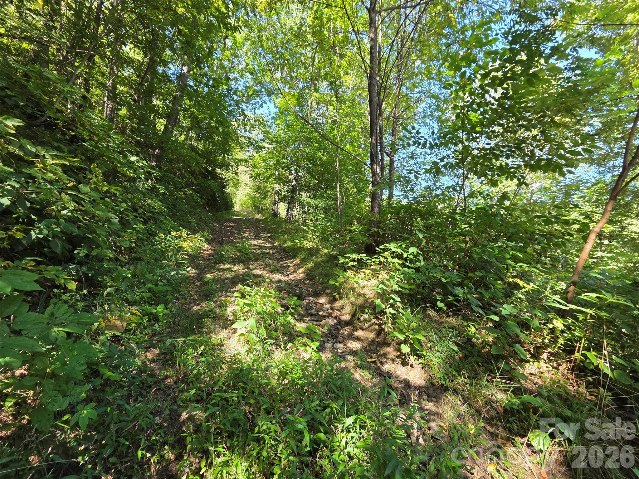 720 Autumn Drive Property Photo 26