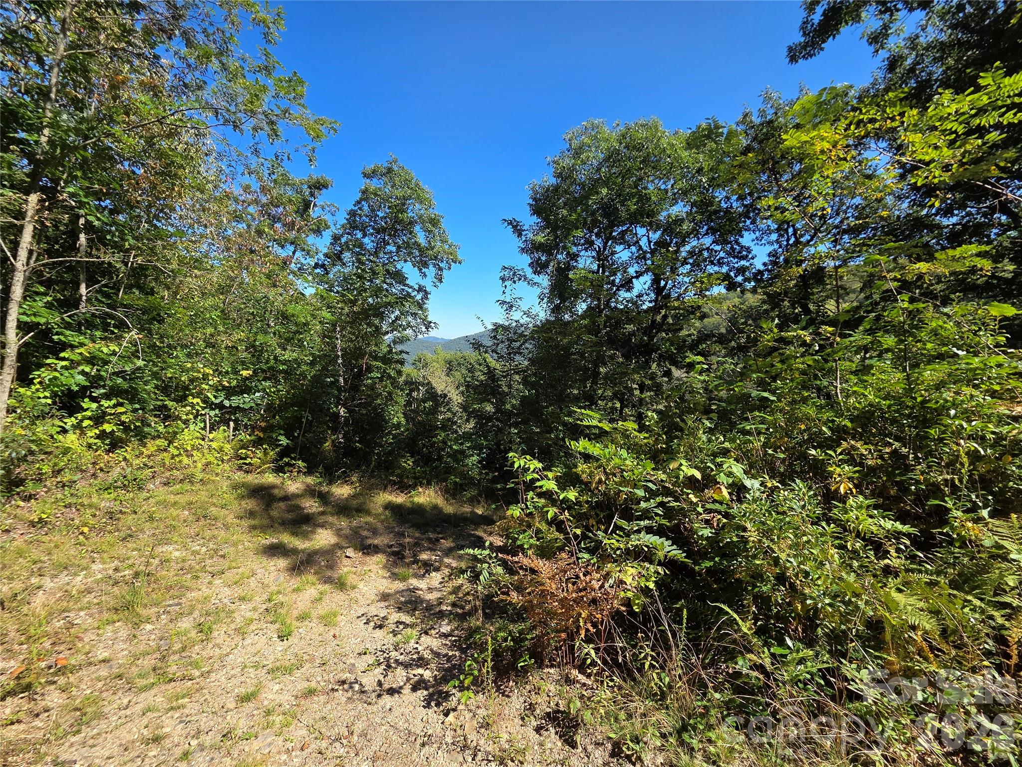 720 Autumn Drive Property Photo 28