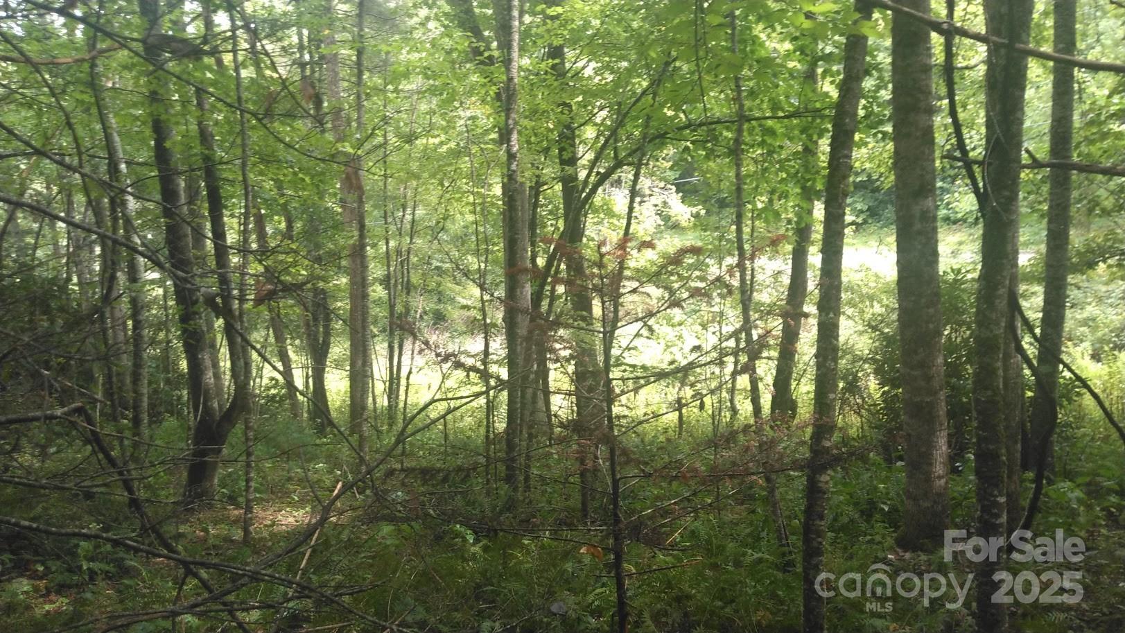 7360 Nc 183 Highway Property Photo 1
