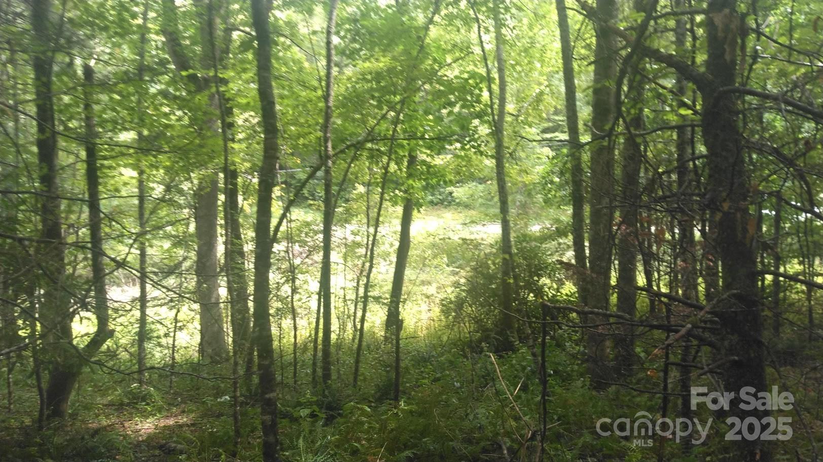 7360 Nc 183 Highway Property Photo 4