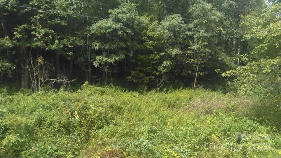 7360 Nc 183 Highway Property Photo 6