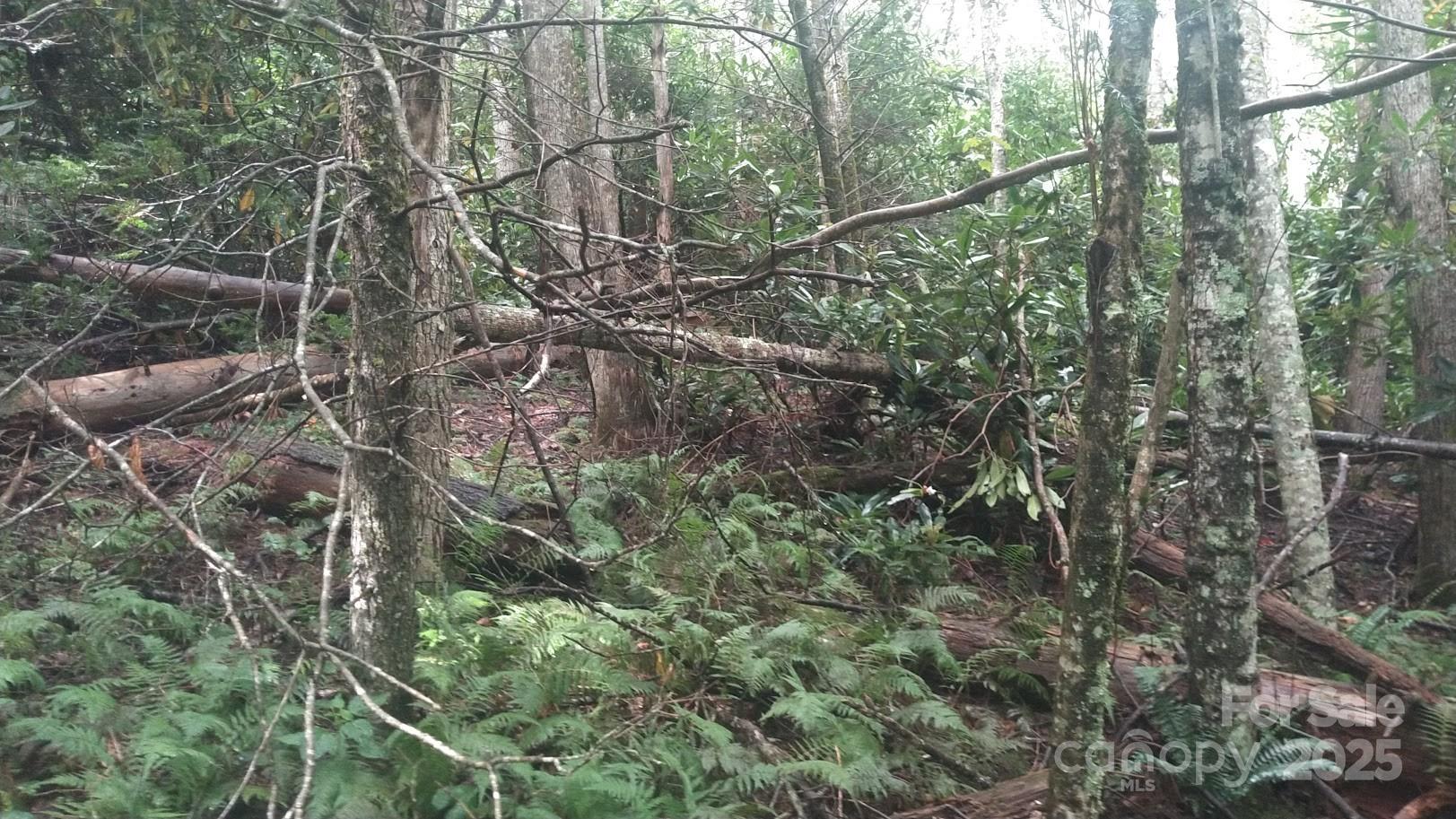 7360 Nc 183 Highway Property Photo 7