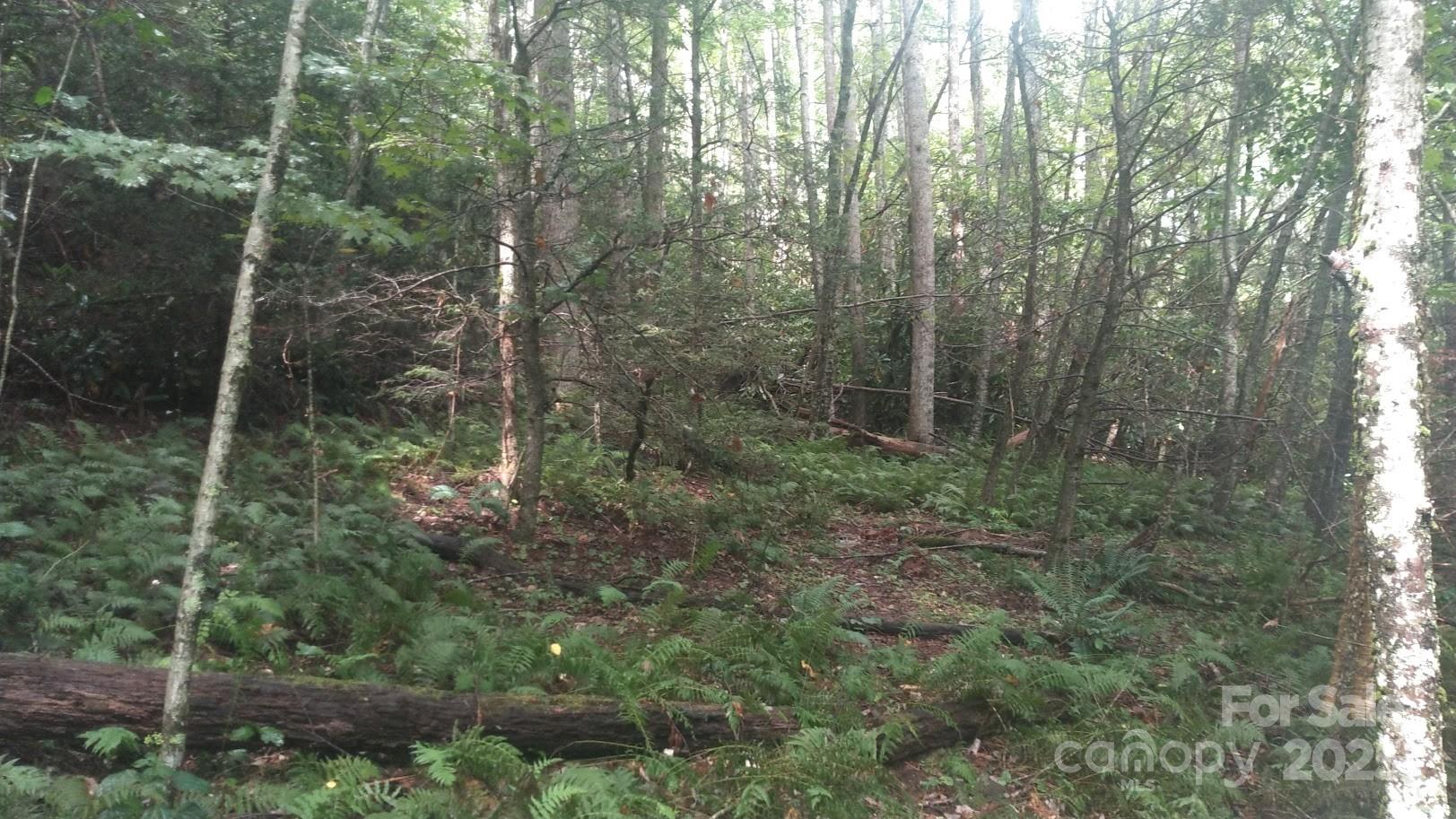 7360 Nc 183 Highway Property Photo 8