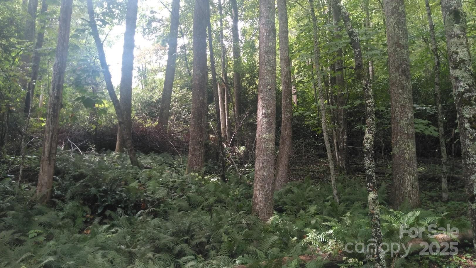 7360 Nc 183 Highway Property Photo 9