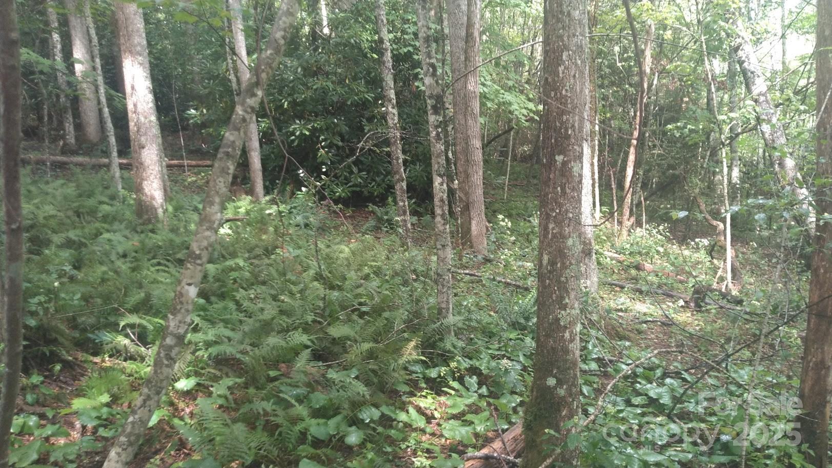 7360 Nc 183 Highway Property Photo 10