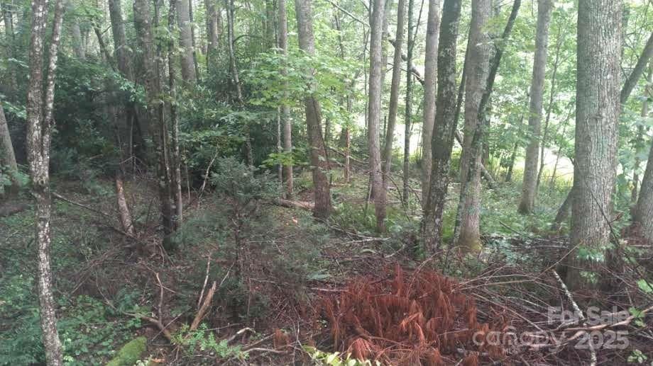 7360 Nc 183 Highway Property Photo 15