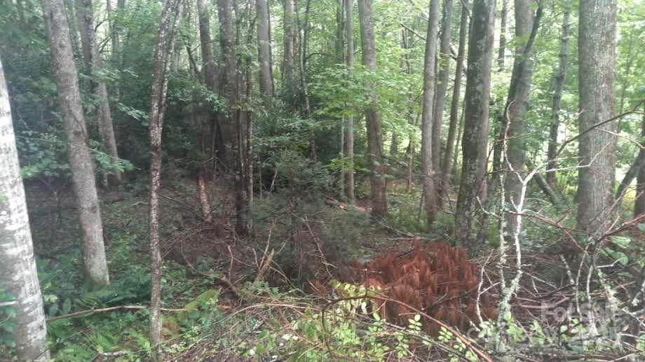 7360 Nc 183 Highway Property Photo 16