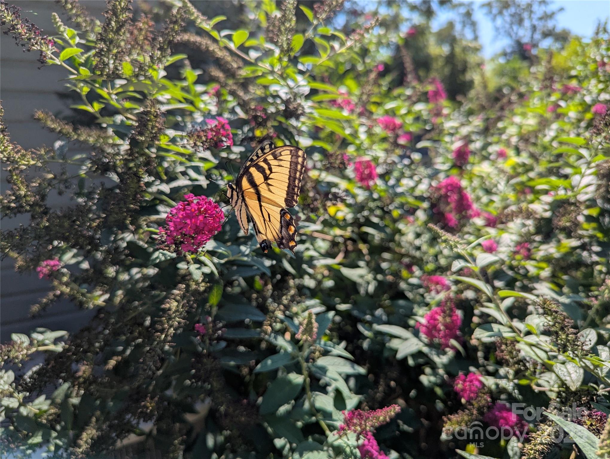 1638 Academy Street Property Photo 30