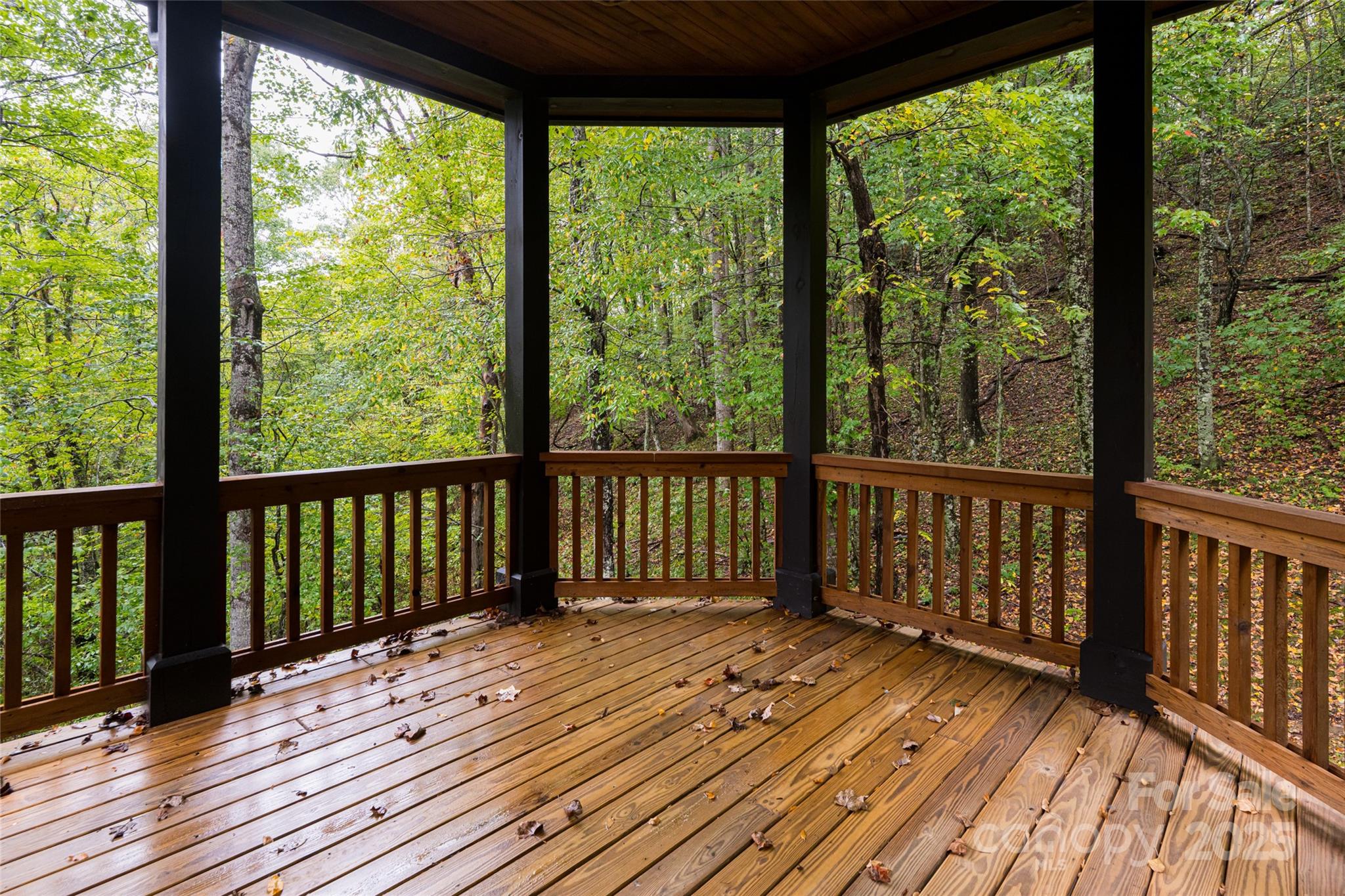 635 Whisper Mountain Drive Property Photo 44