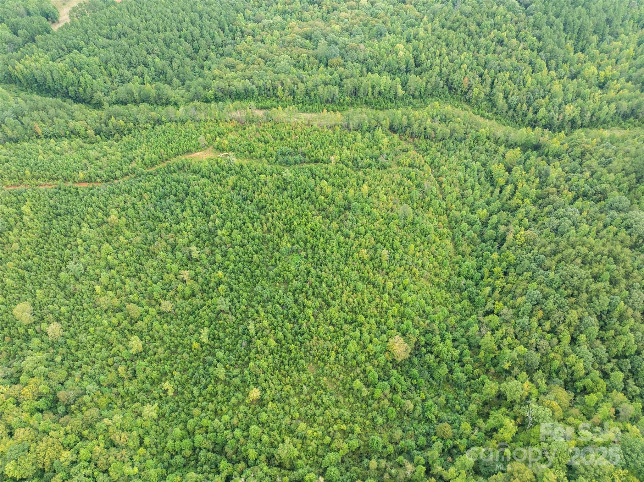 Tbd Pea Ridge Road Property Photo 7