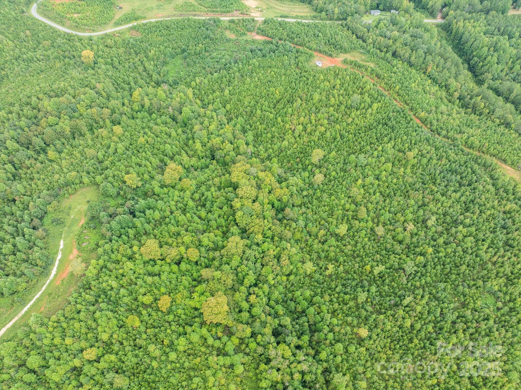 Tbd Pea Ridge Road Property Photo 8