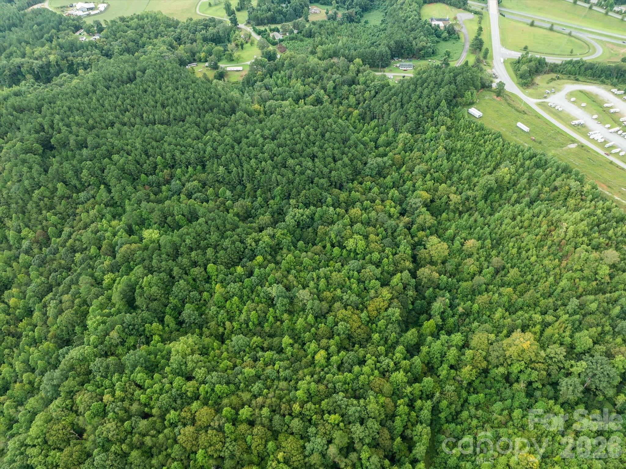 Tbd Pea Ridge Road Property Photo 11