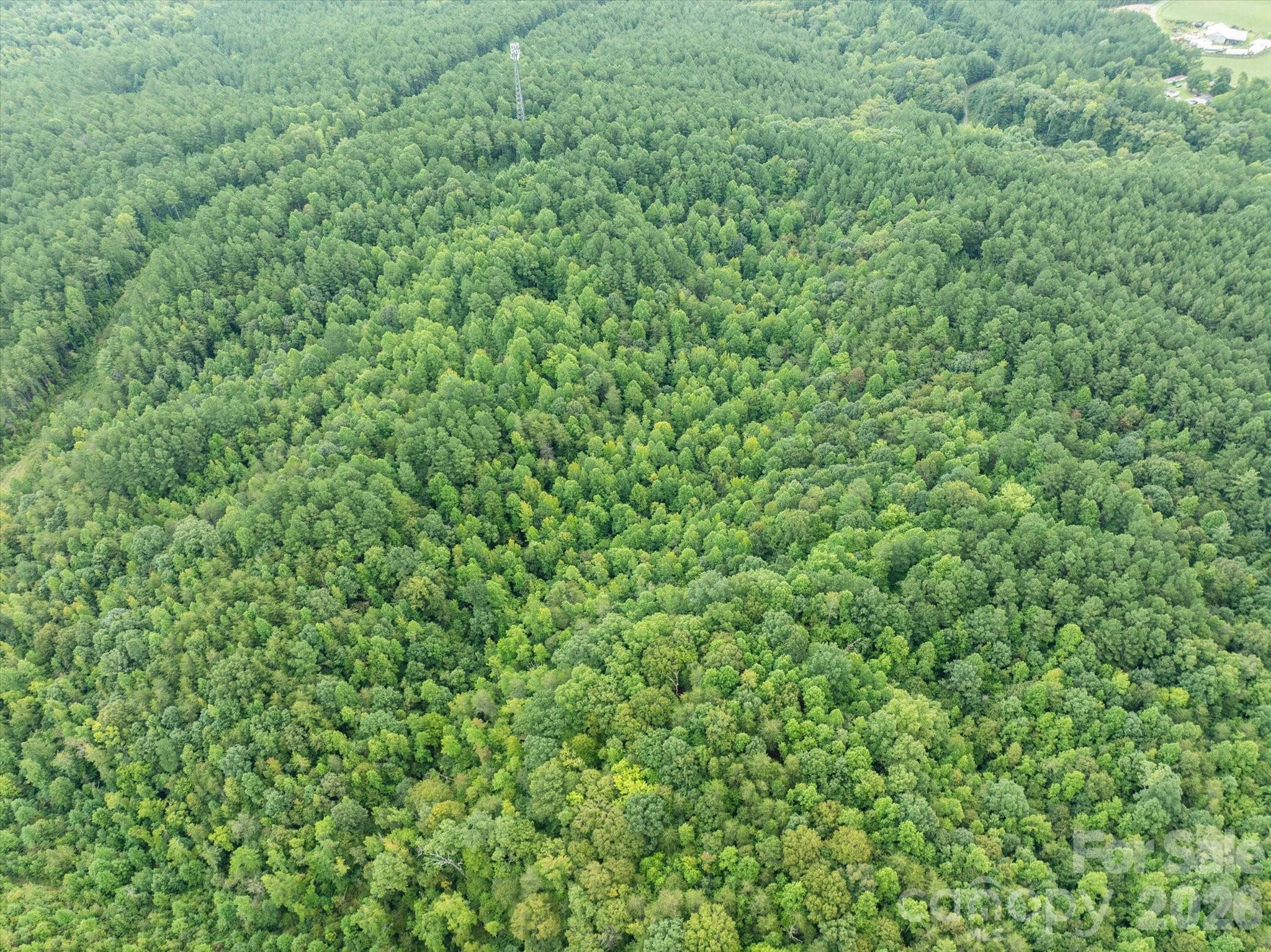 Tbd Pea Ridge Road Property Photo 12