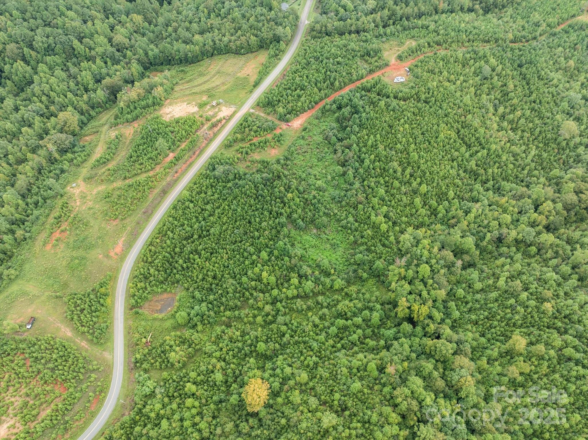 Tbd Pea Ridge Road Property Photo 13