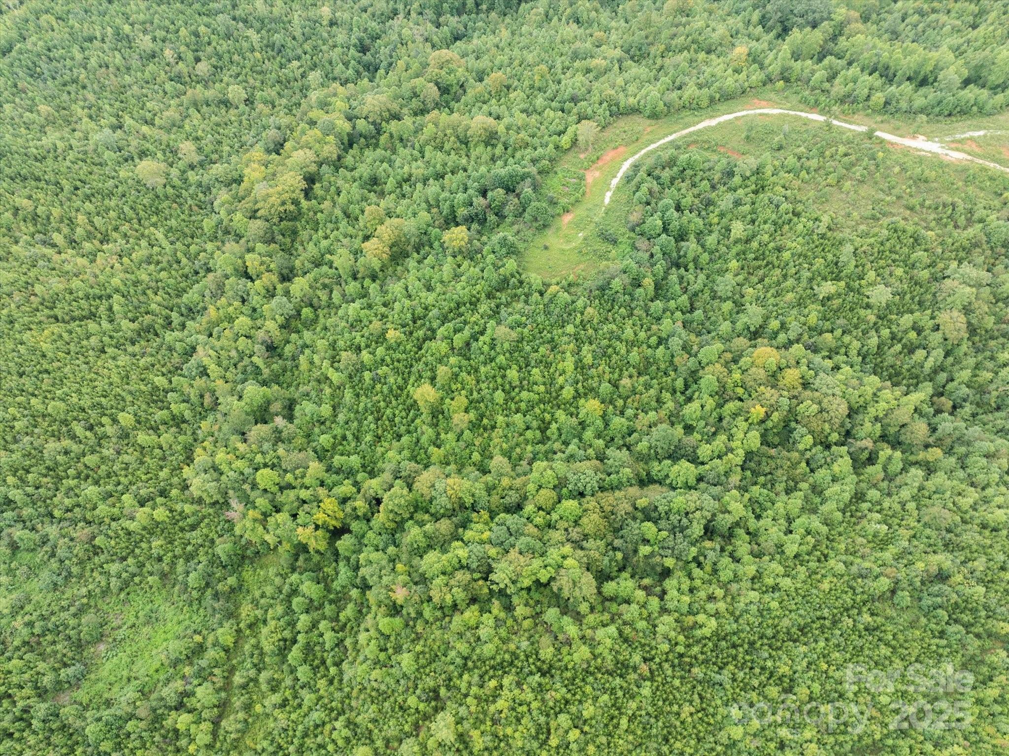 Tbd Pea Ridge Road Property Photo 14