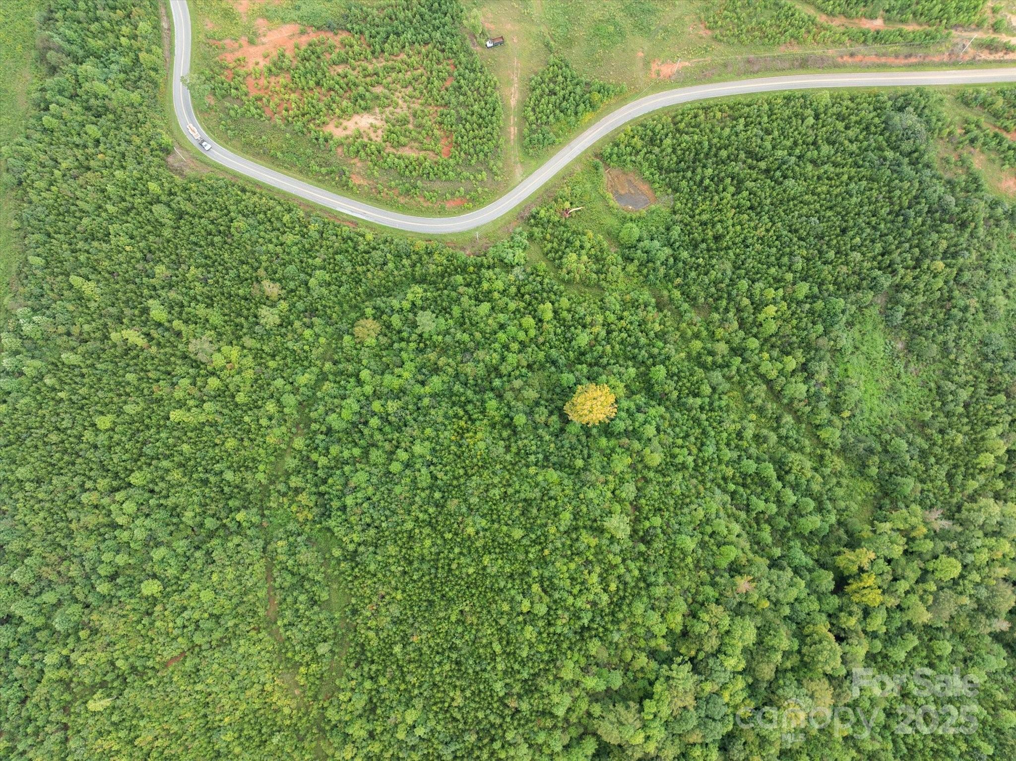 Tbd Pea Ridge Road Property Photo 19