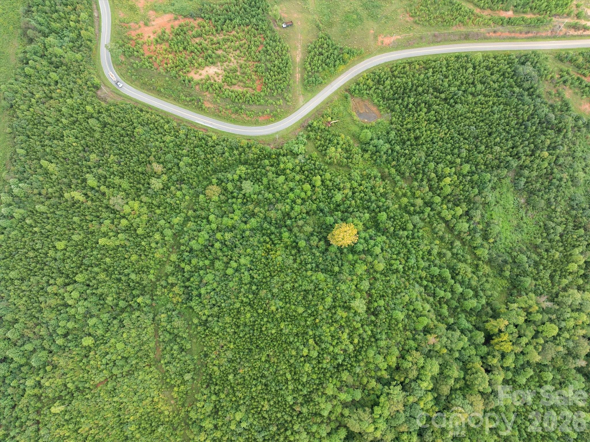 Tbd Pea Ridge Road Property Photo 19