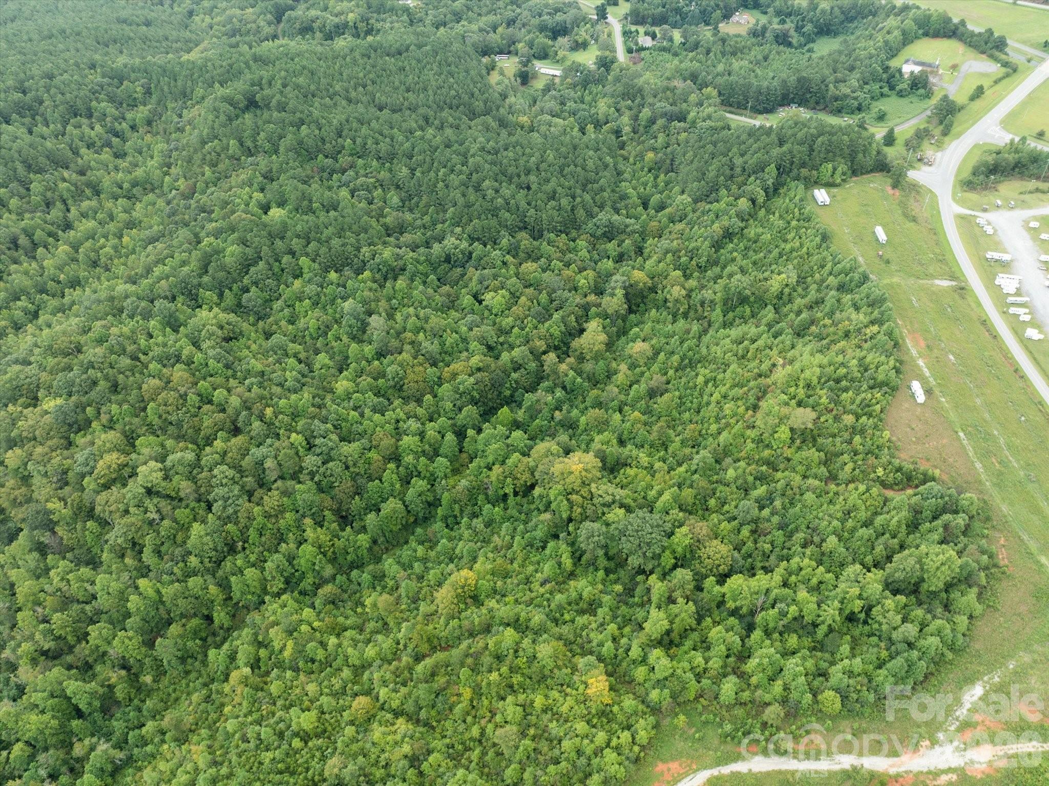Tbd Pea Ridge Road Property Photo 21