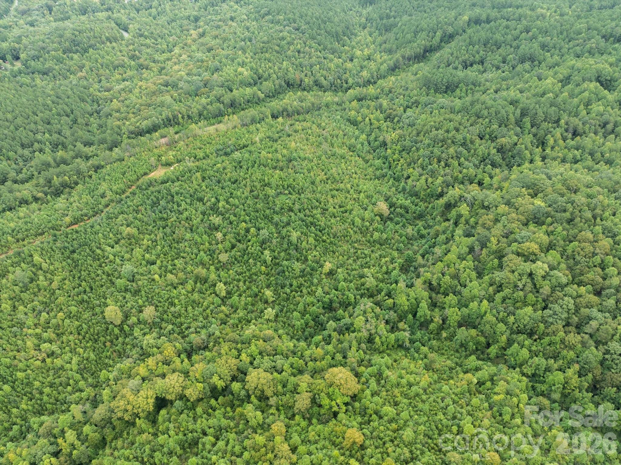 Tbd Pea Ridge Road Property Photo 22